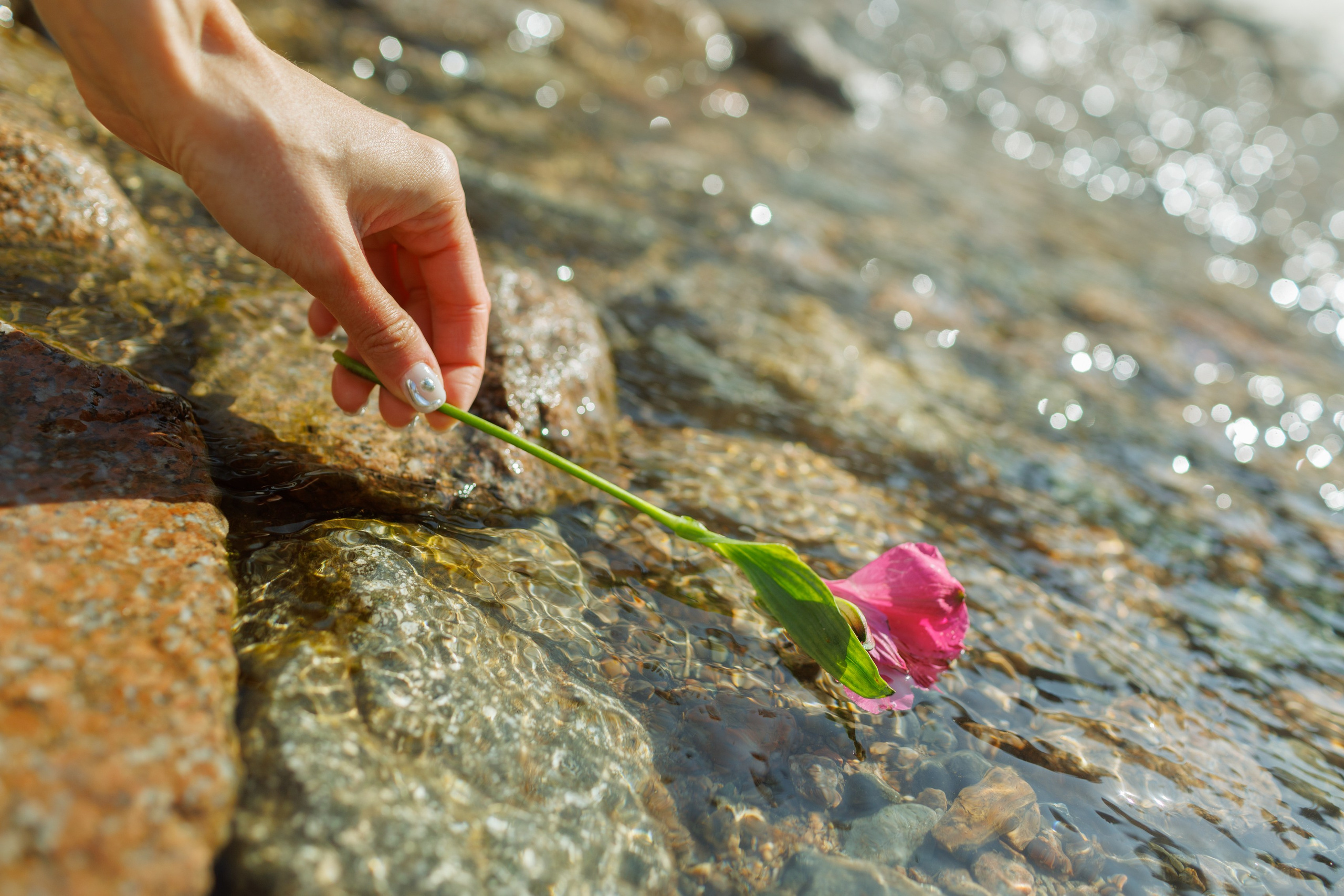 Наталья. Dmitriigoliapov.ru