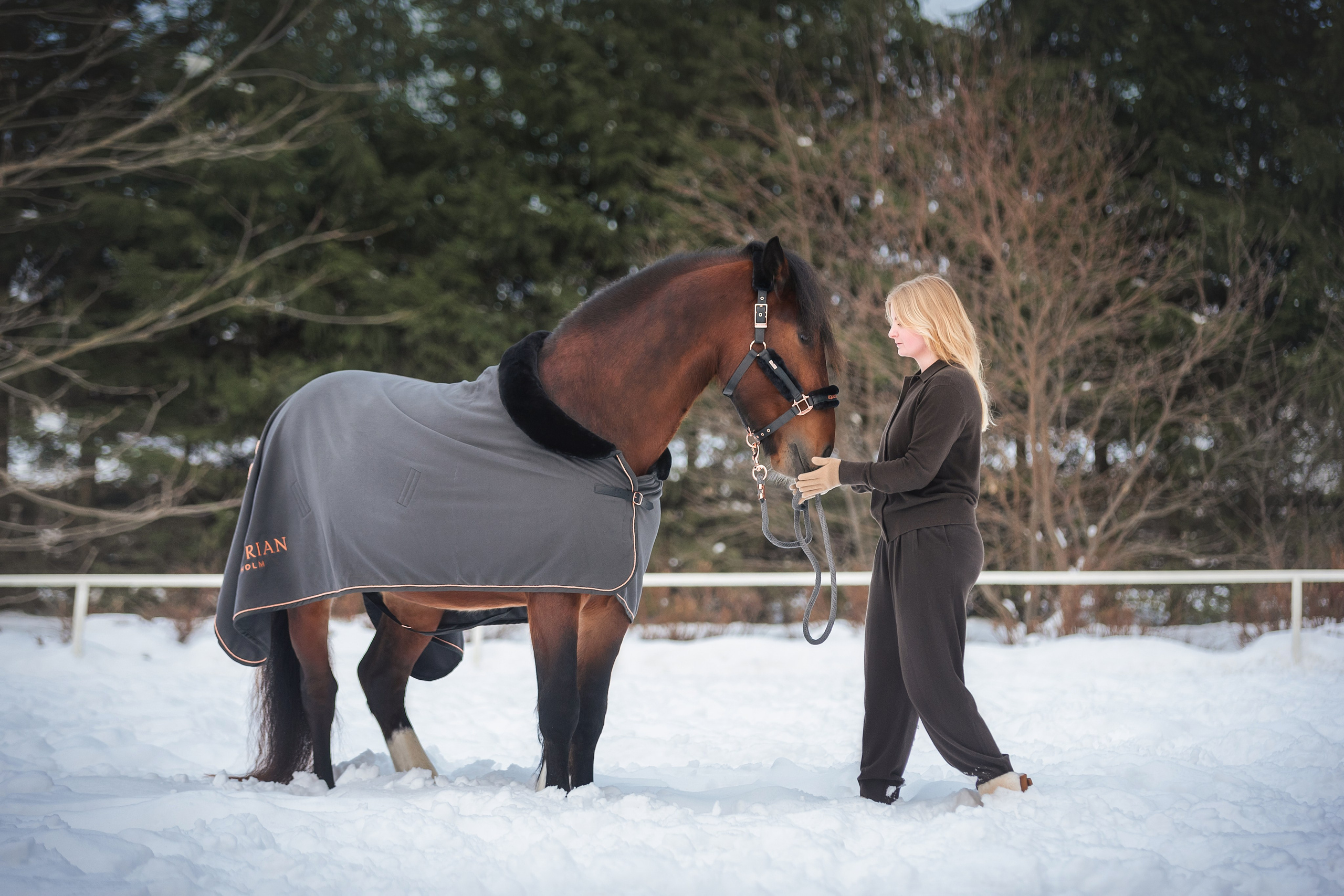 Новогодний Волконский. Конный фотограф Куракина Дарья • Фотосессии с лошадьми