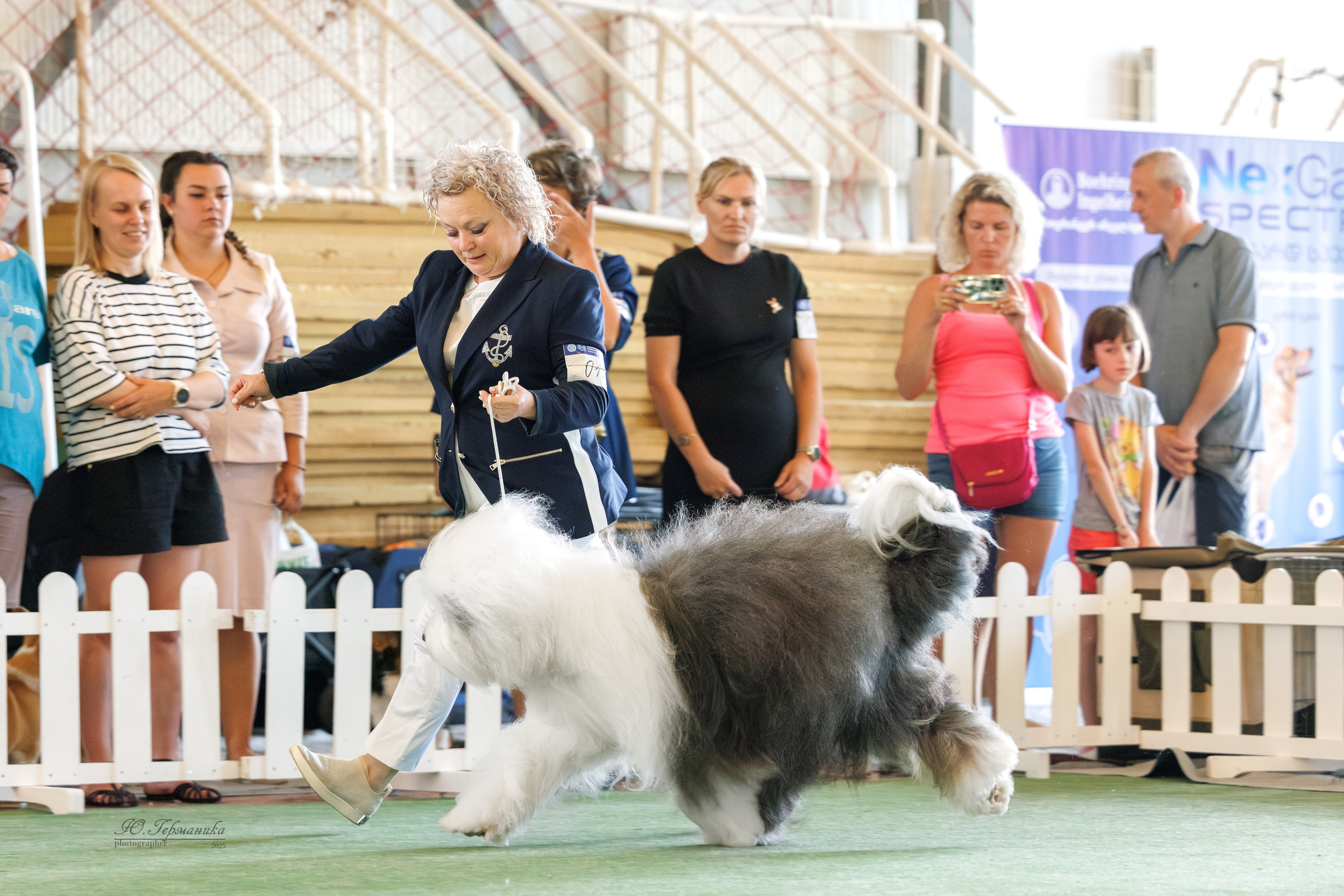 Батуми 3хCACIB 27-29.06.2025. Фотограф-анималист Юлия Германика