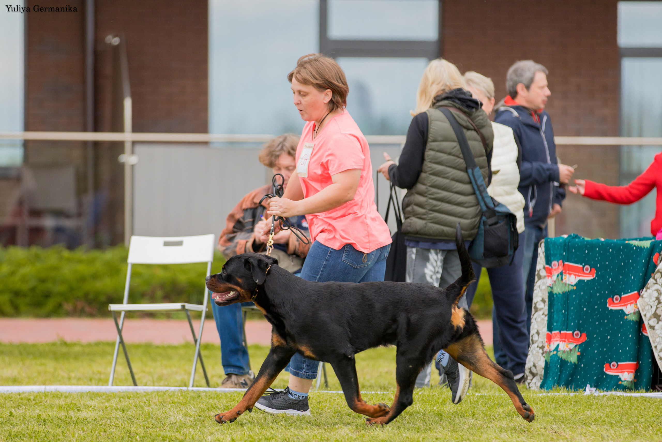 Переславль 9-10.09.2023. Фотограф-анималист Юлия Германика