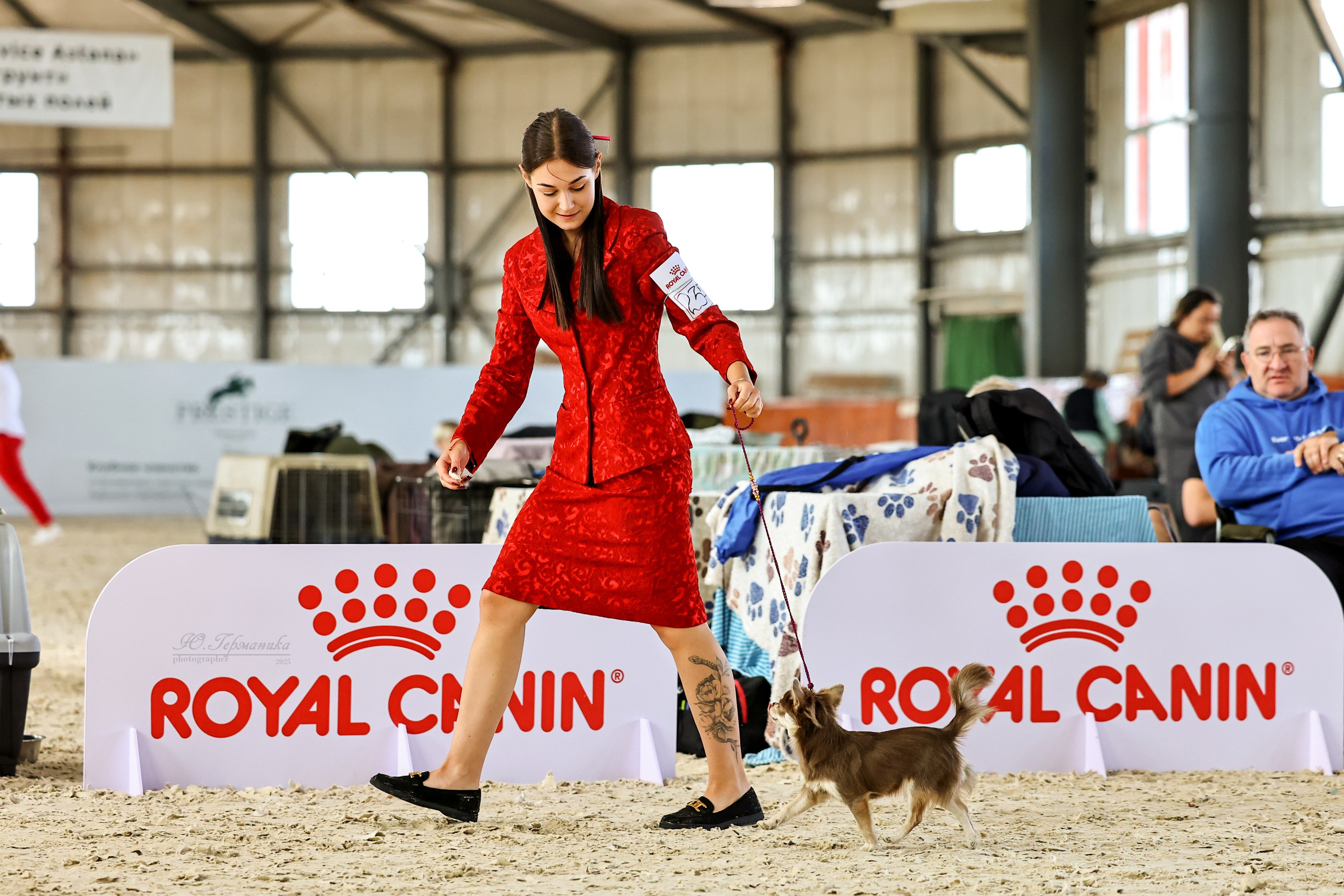 Астана 2хCACIB 26-28.09.2025. Фотограф-анималист Юлия Германика