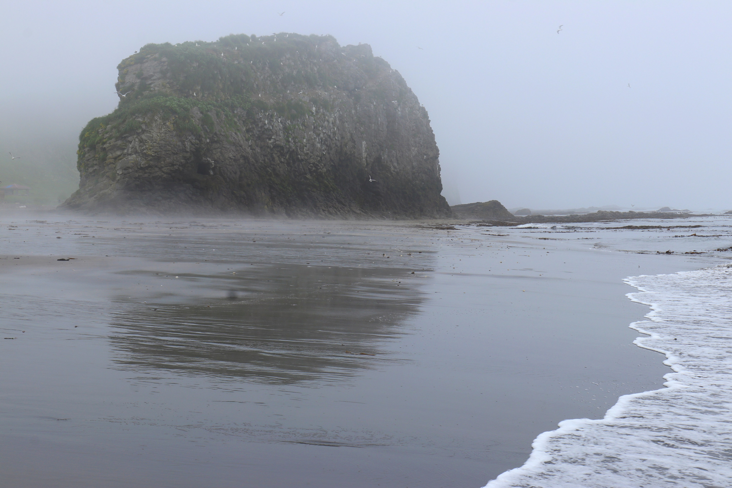 Камчатка и о. Парамушир. Июль 2024. Путешественник-фотограф из Санкт-Петербурга Татьяна Свистулина