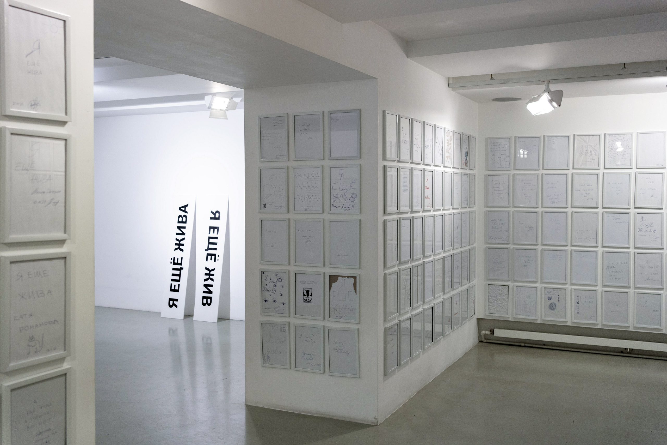 Выставки. Коммерческий фотограф в Санкт-Петербурге Ксения Максимова