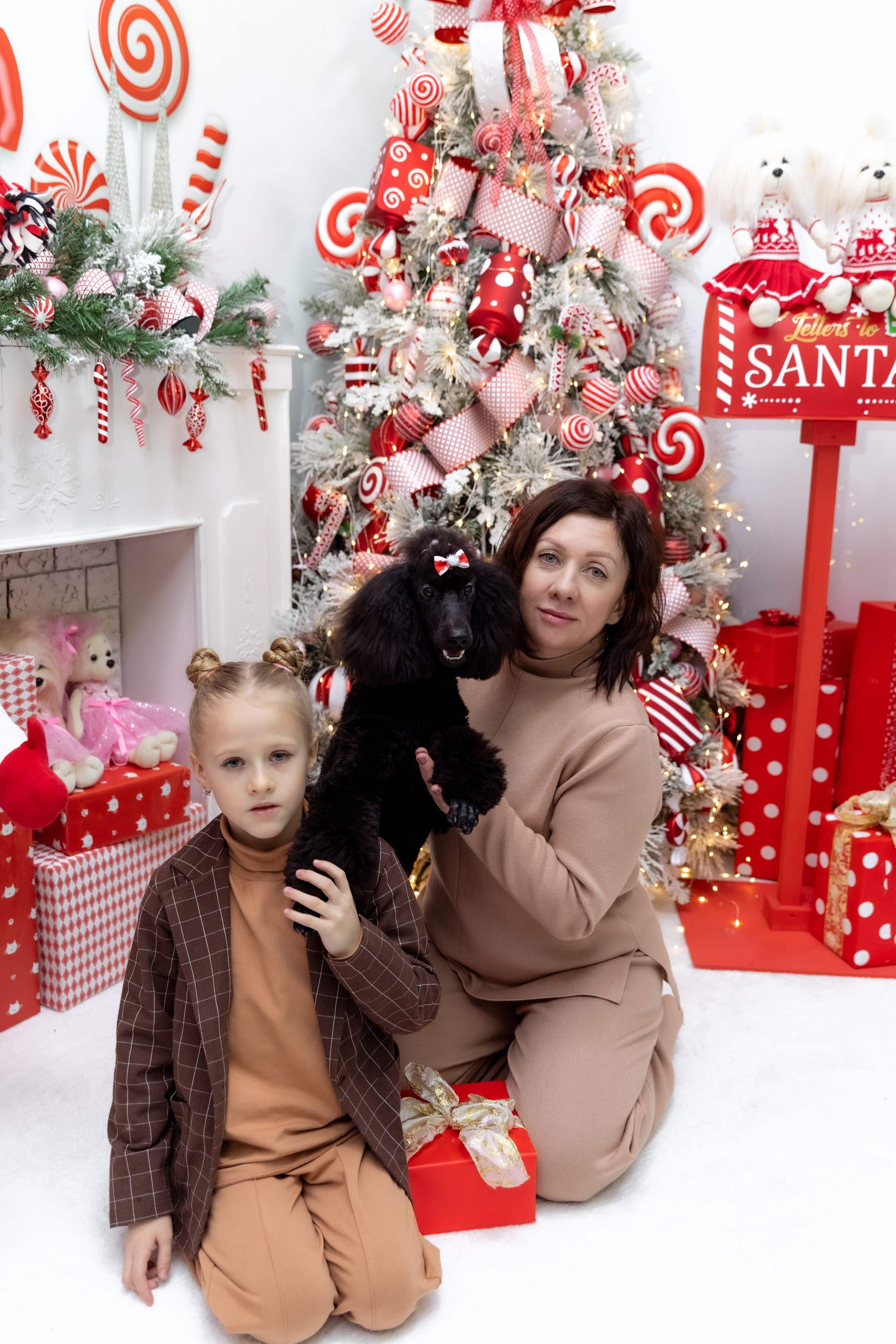 НОВОГОДНЯЯ ФОТОСЕССИЯ С ПИТОМЦАМИ