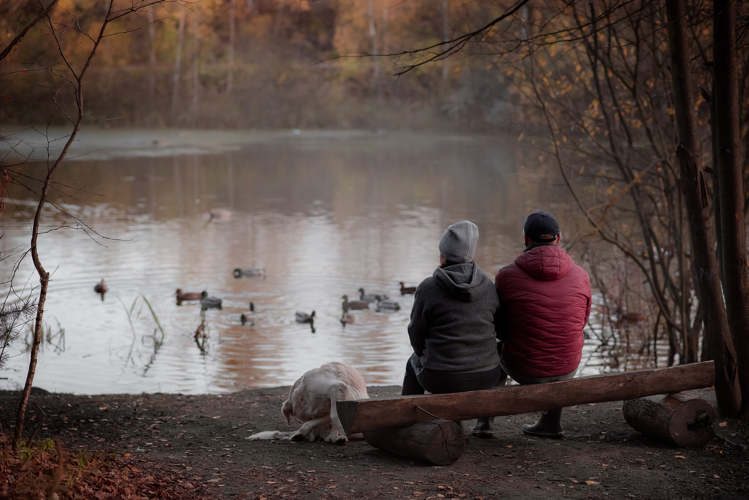 Семейная съёмка. Семейный и детский фотограф в Москве и МО Елена Лапина