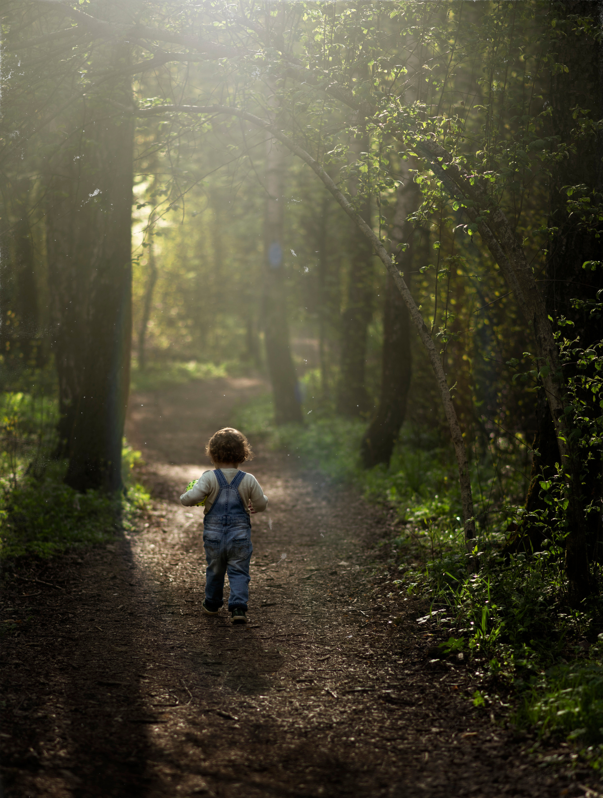 Детский портрет. Семейный и детский фотограф в Москве и МО Елена Лапина