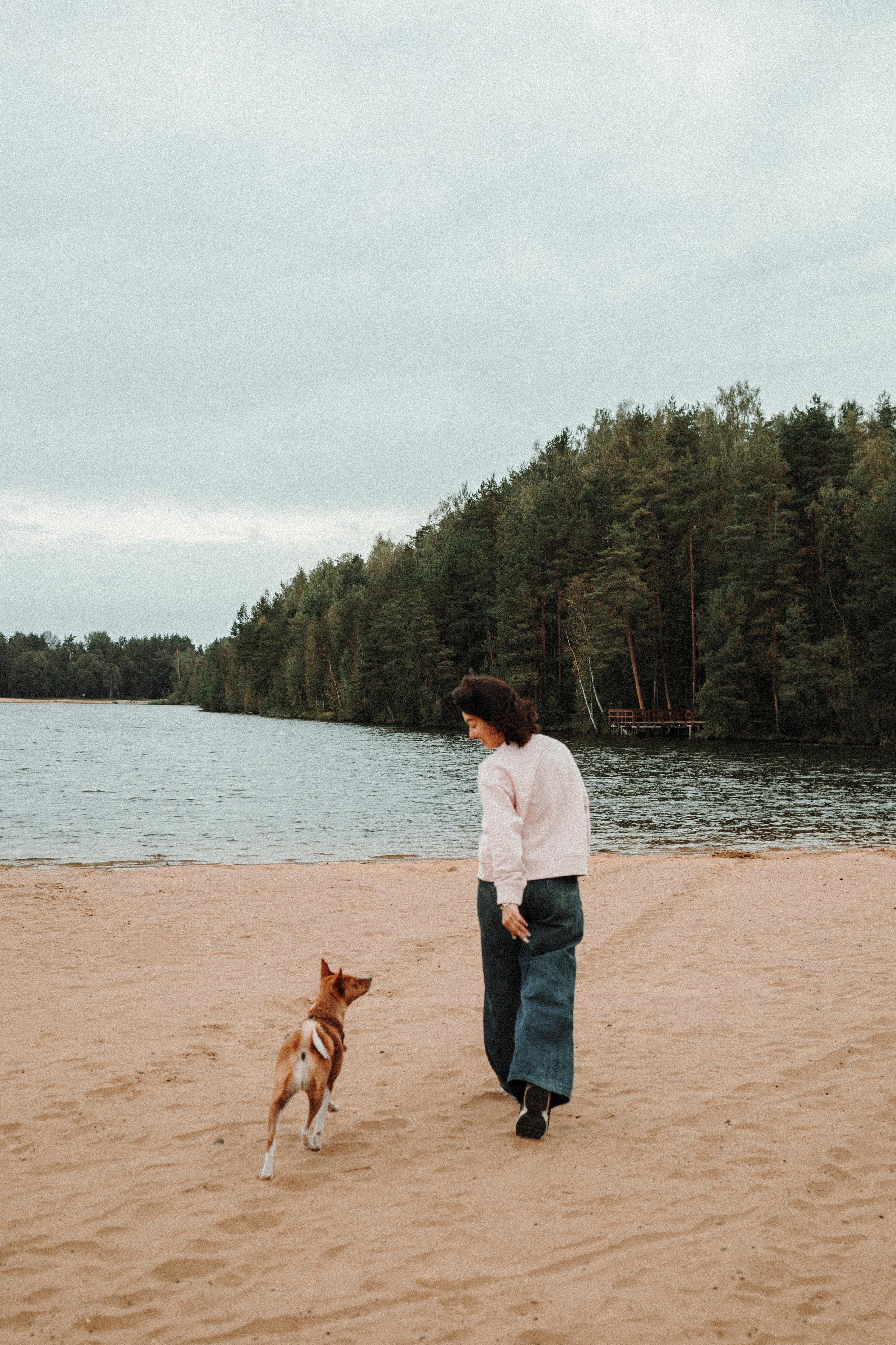 Даша и Лора. Фотограф-анималист в Санкт-Петеребурге Титова Алиса