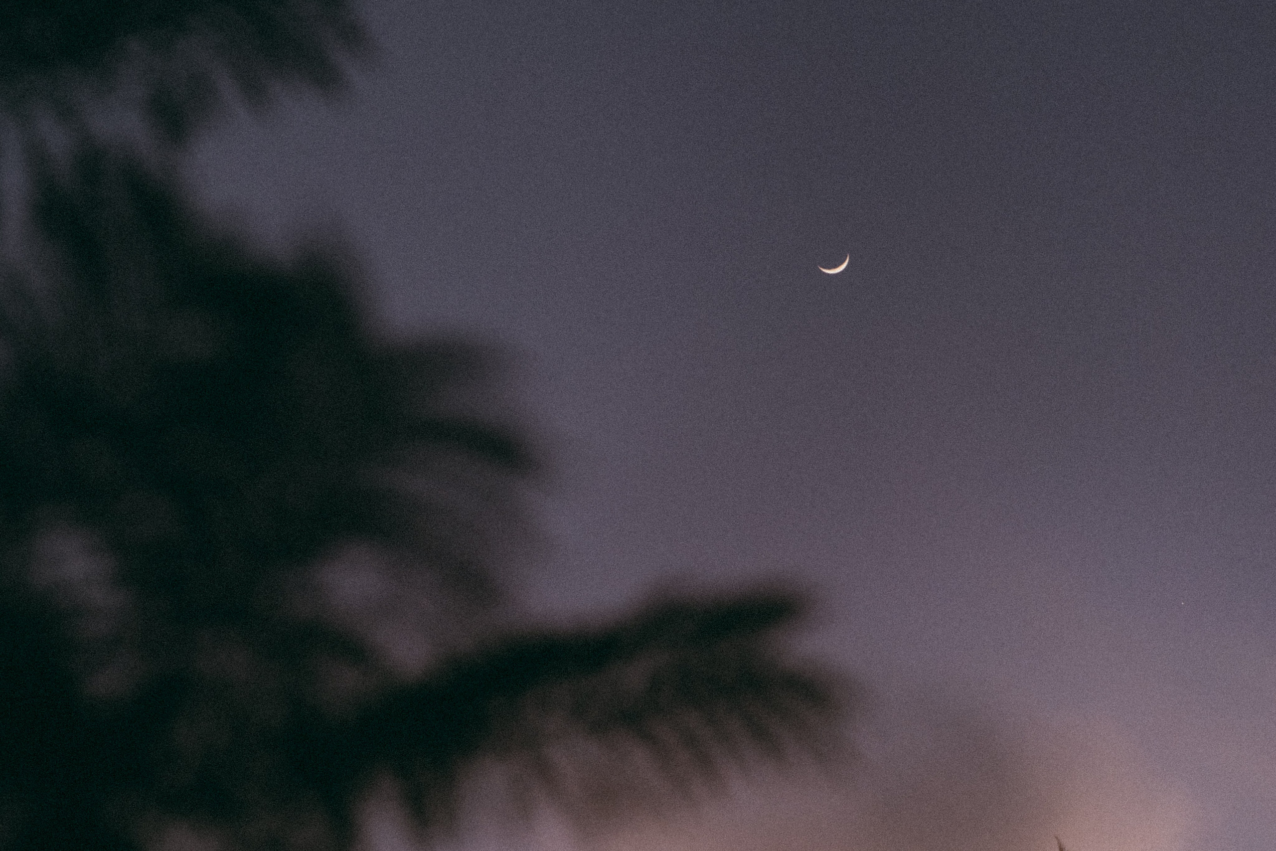 Юля Дэй • Фотограф, Санкт-Петербург