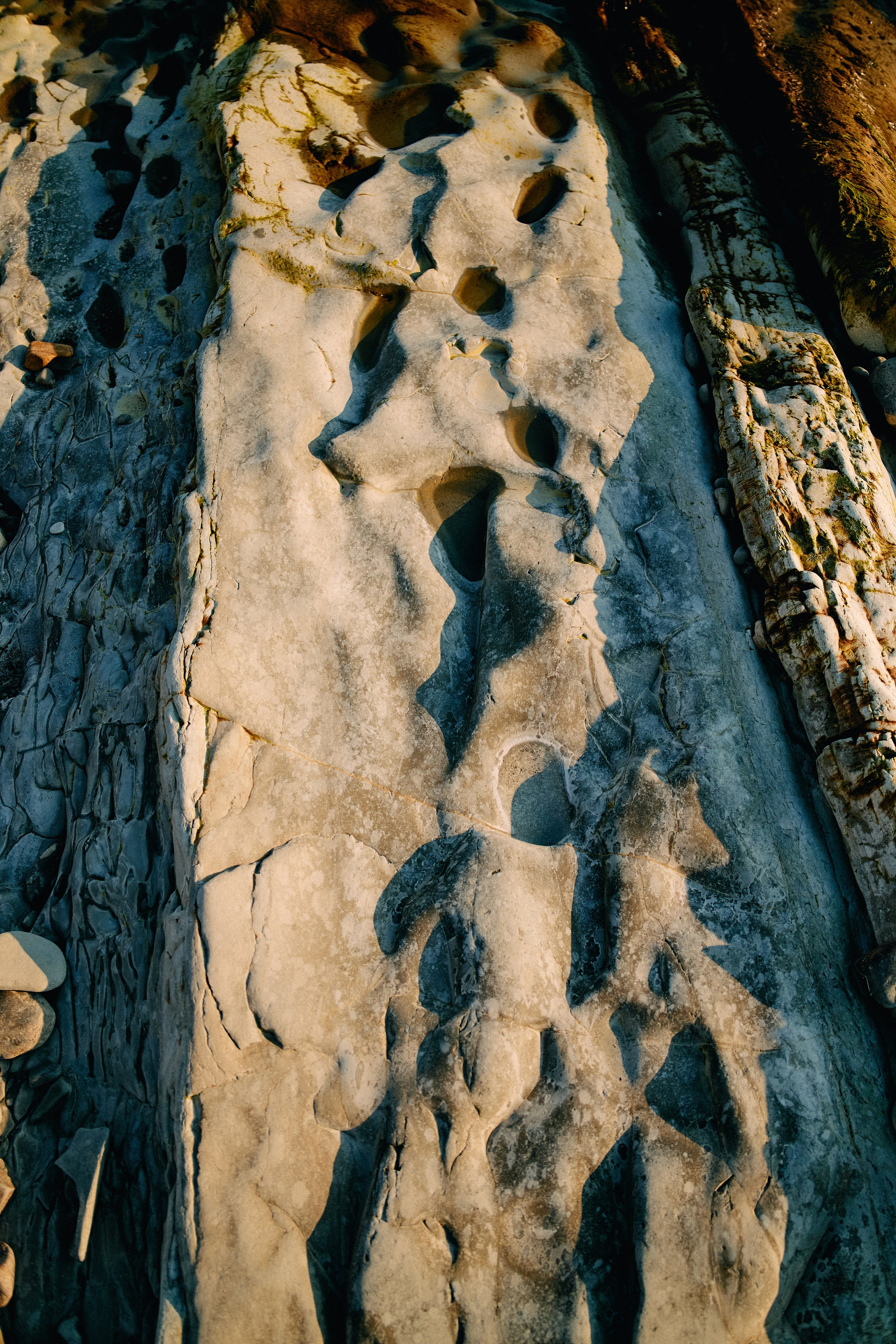 Юг России. Профессиональный Фотограф во Владимире, в Москве и в Суздале — Полина Романычева