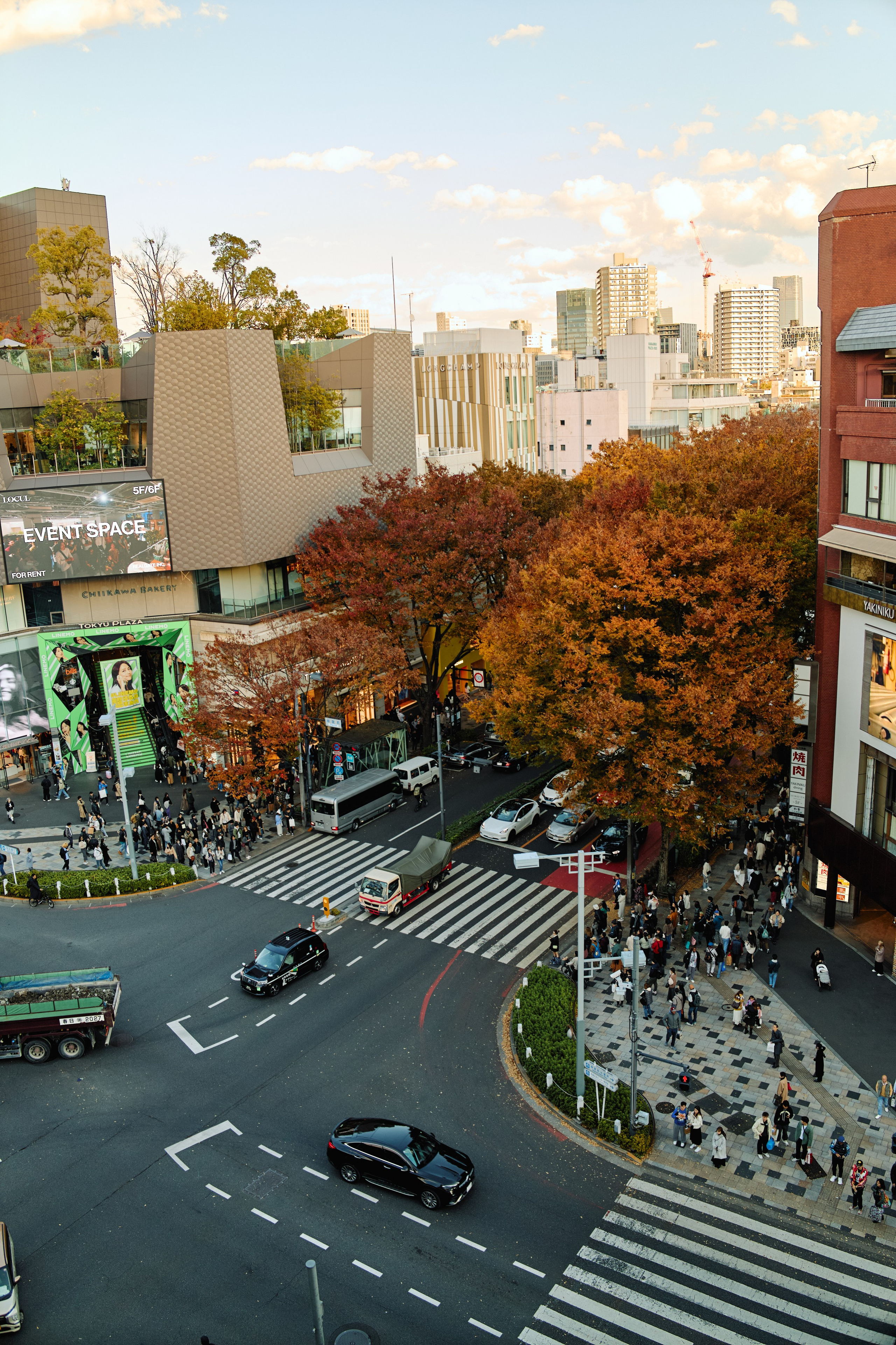 Япония. Профессиональный Фотограф во Владимире, в Москве и в Суздале — Полина Романычева