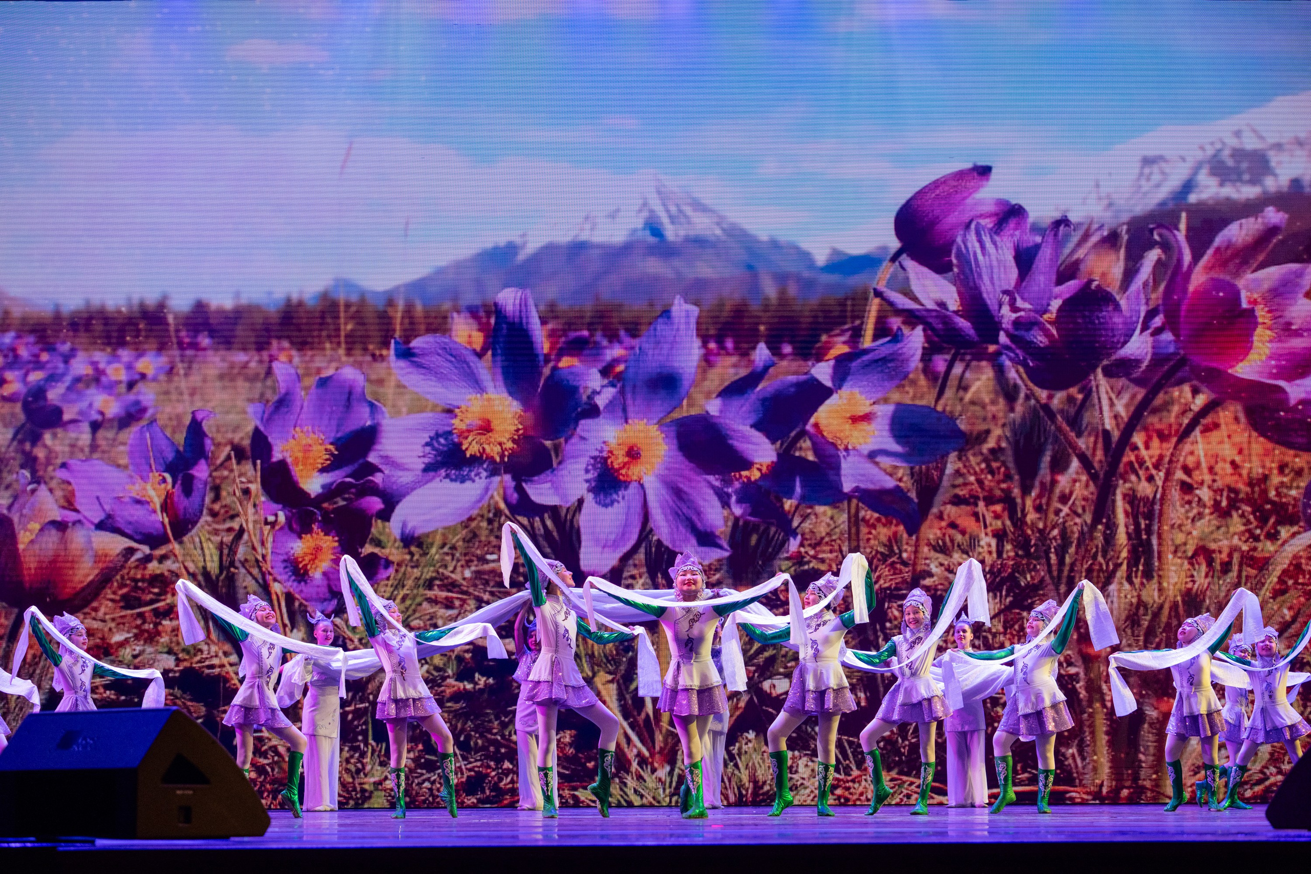 18 мая, г. Москва, Кремль, Концерт. Золотое яблочко