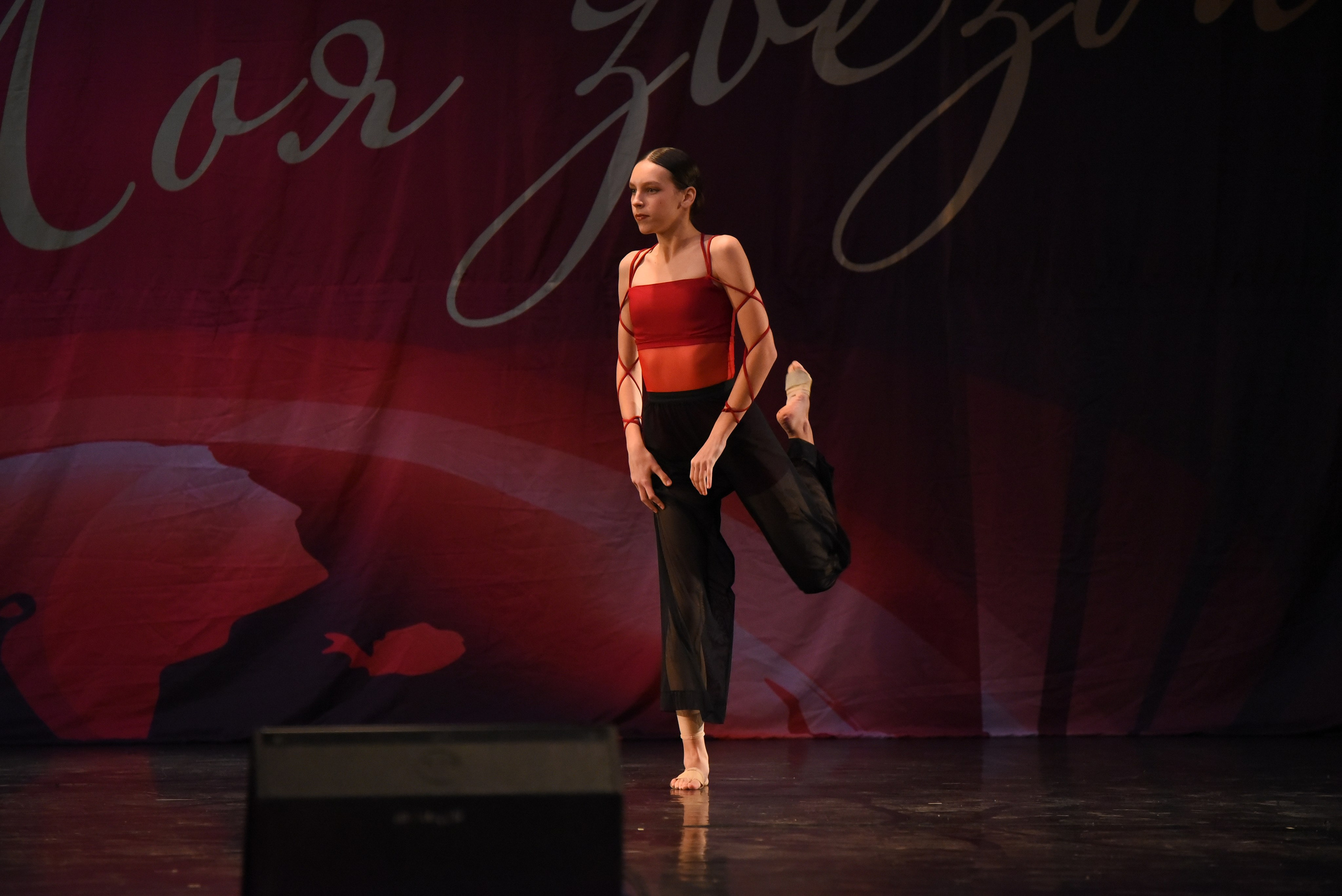 13 декабря, г. Калининград. Золотое яблочко