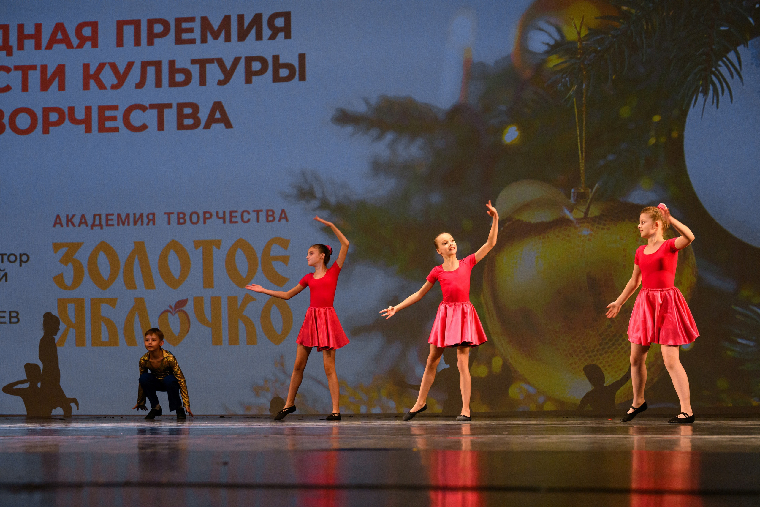 4 декабря, блок 2, награда, г. Санкт-Петербург. Золотое яблочко