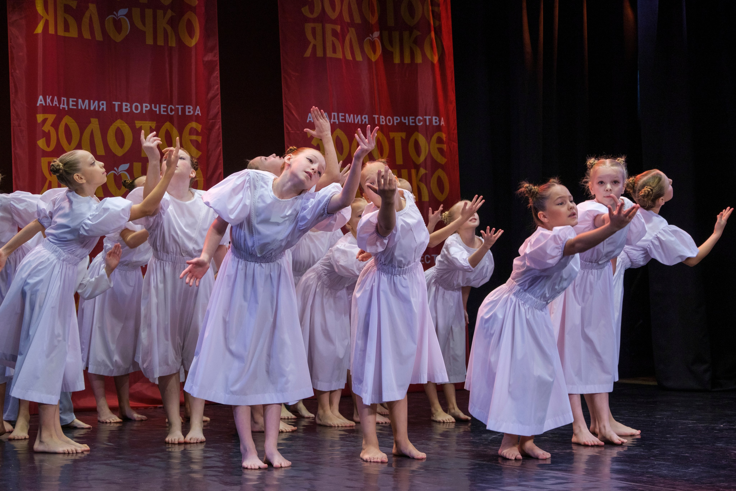 17 ноября, г. Великий Устюг. Золотое яблочко