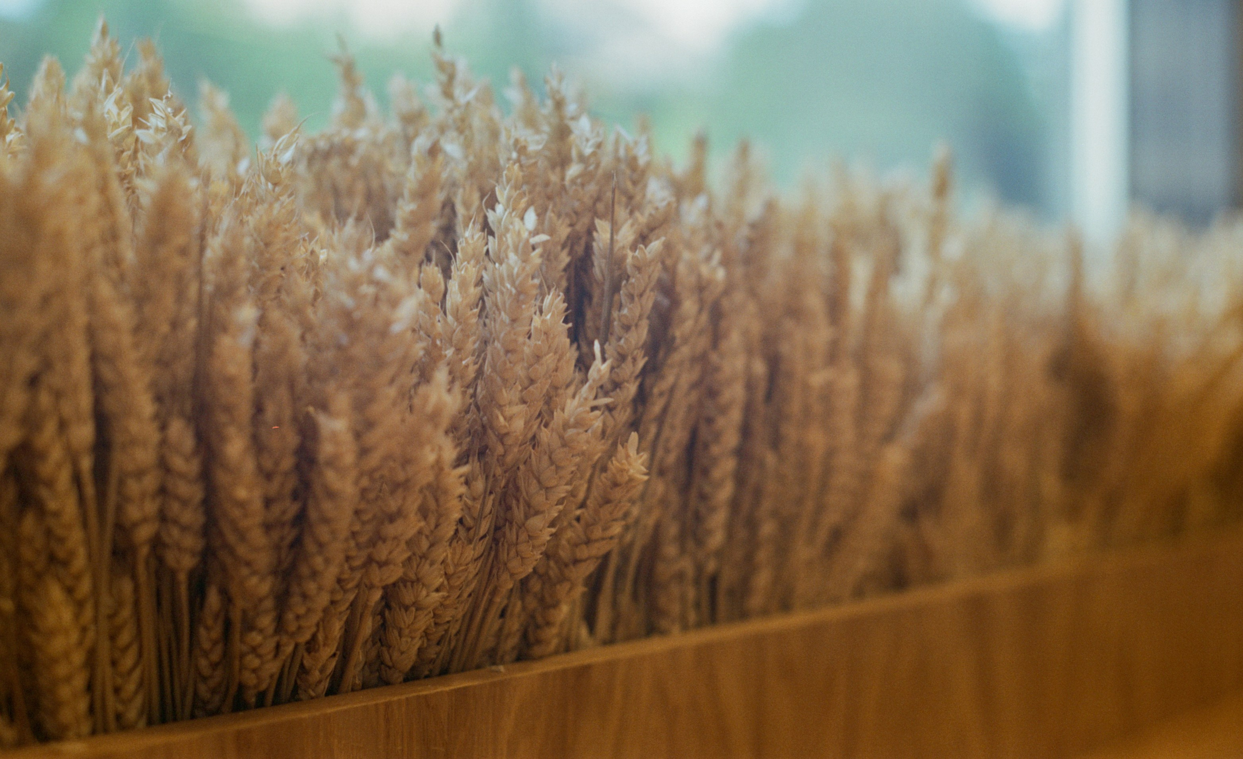 Интерьер и детали. Коммерческий фотограф в Москве Садовников Алексей