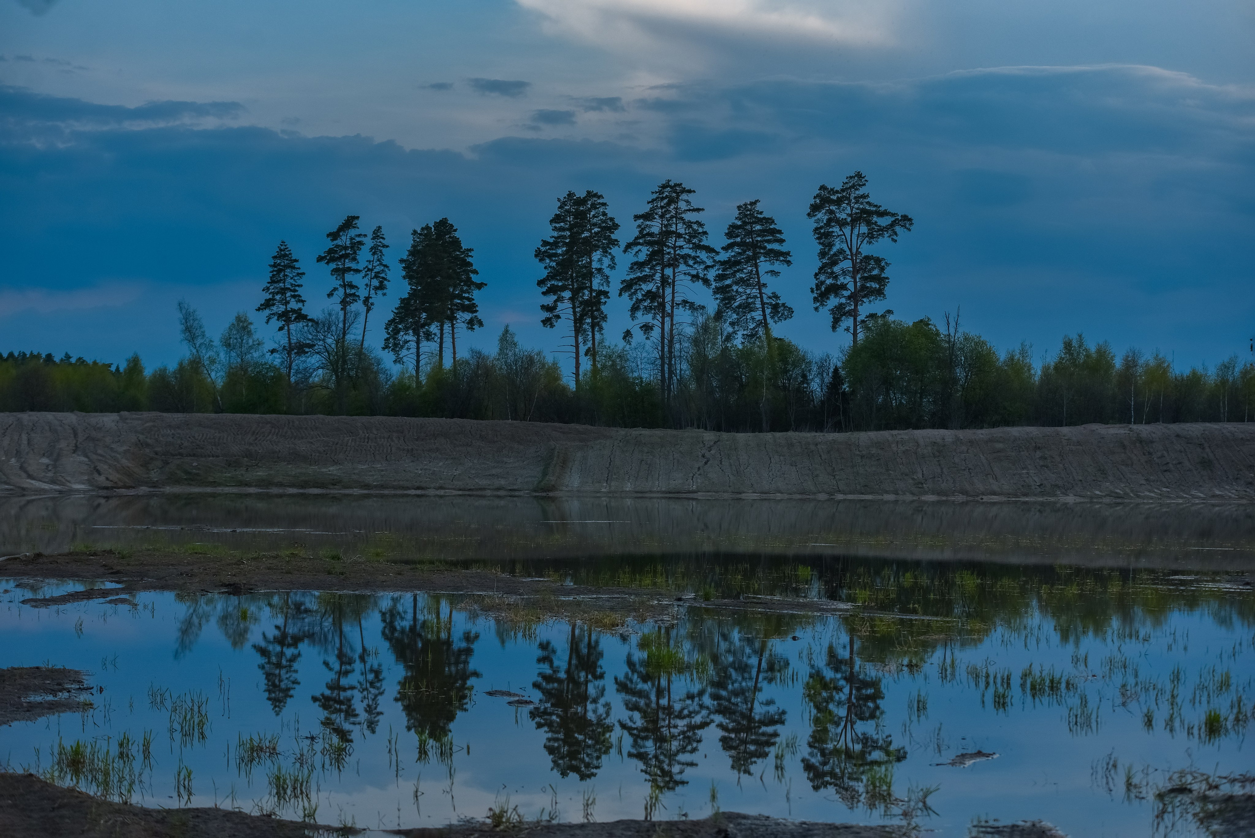 Природа. Съемки в стиле Goblicore и прочая нечисть. Конный фотограф из Москвы Ирина Бондаркова