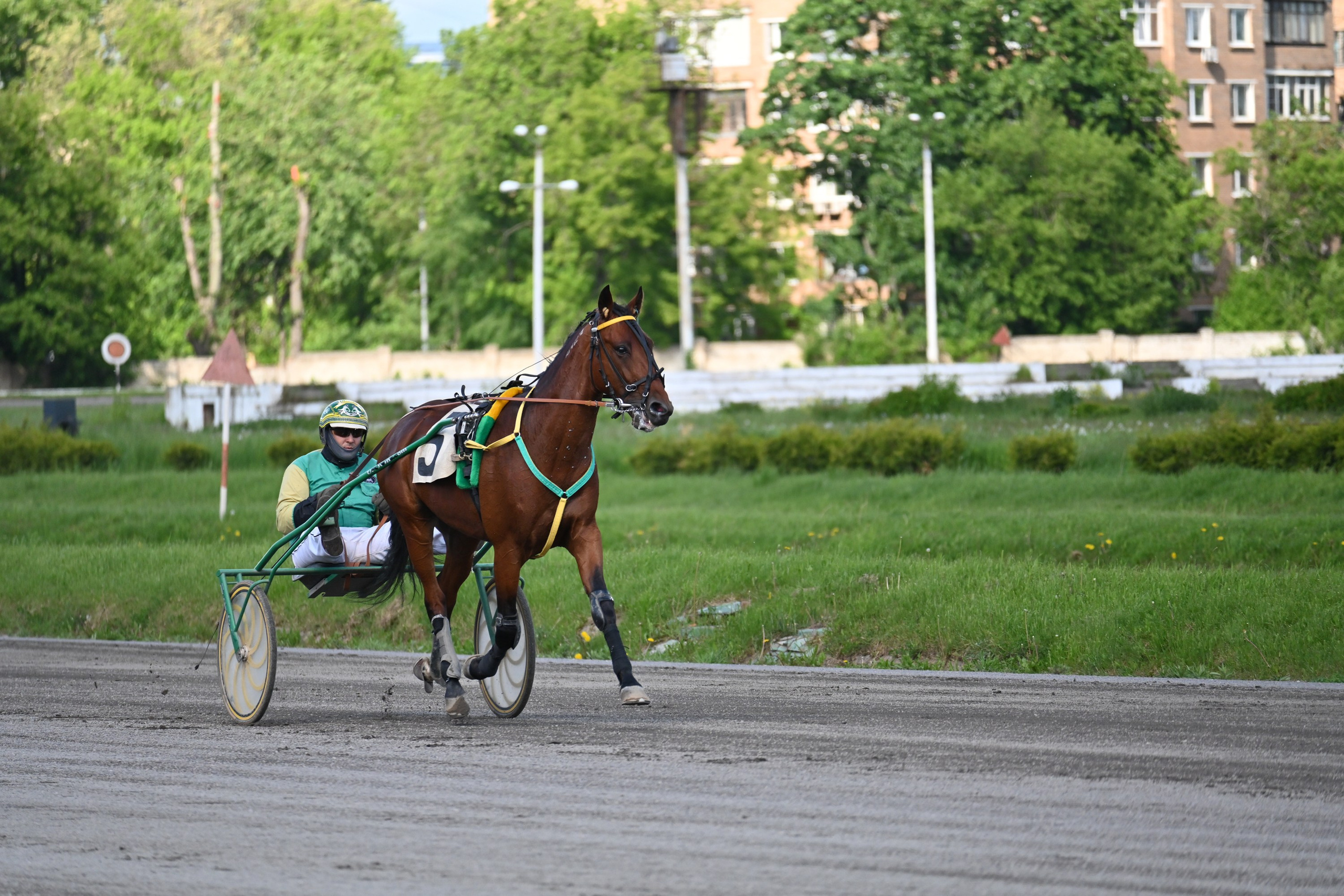 Ипподром (Москва). Fotolux