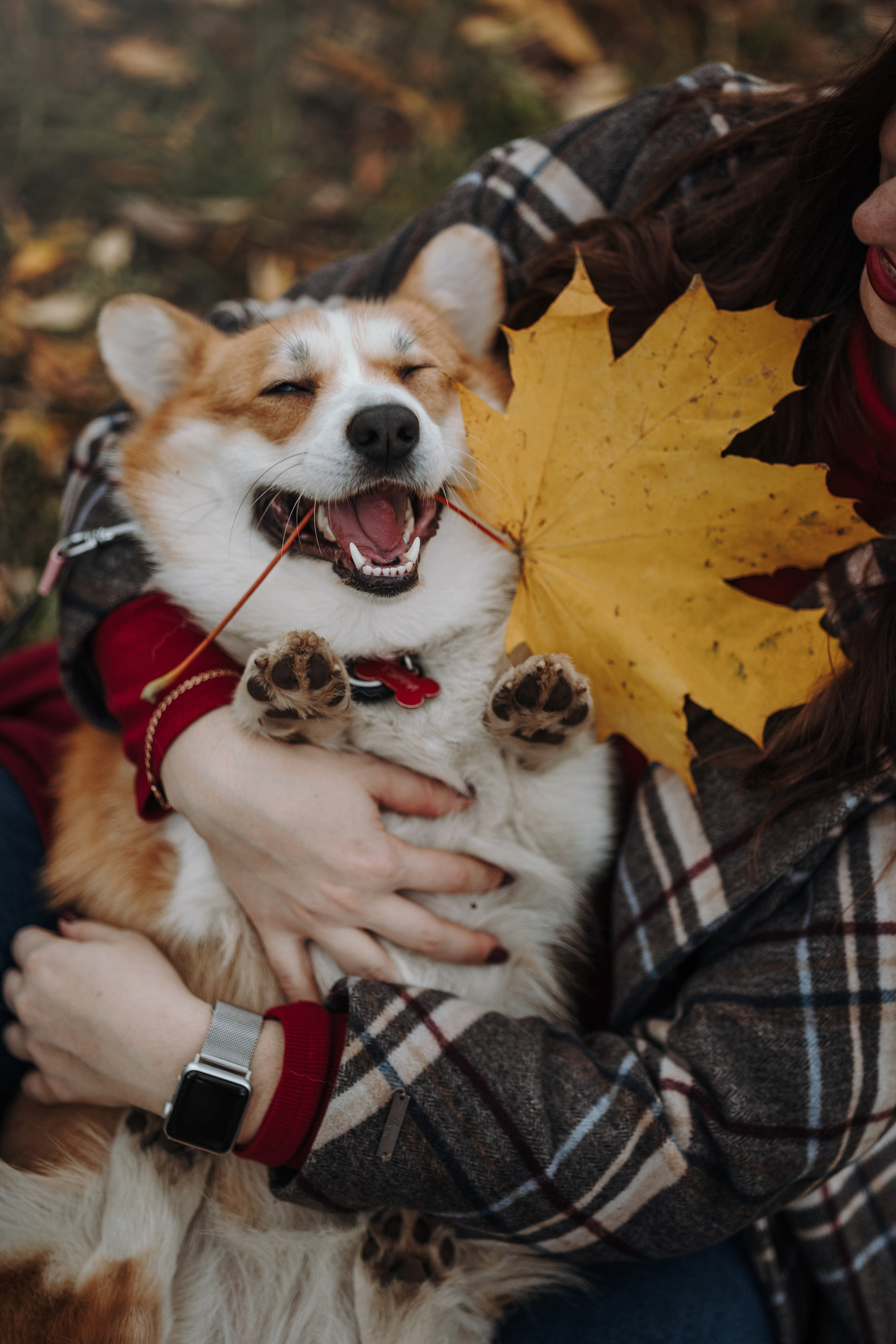 Юля и Терри. Фотограф — Анималист | Санкт-Петербург
