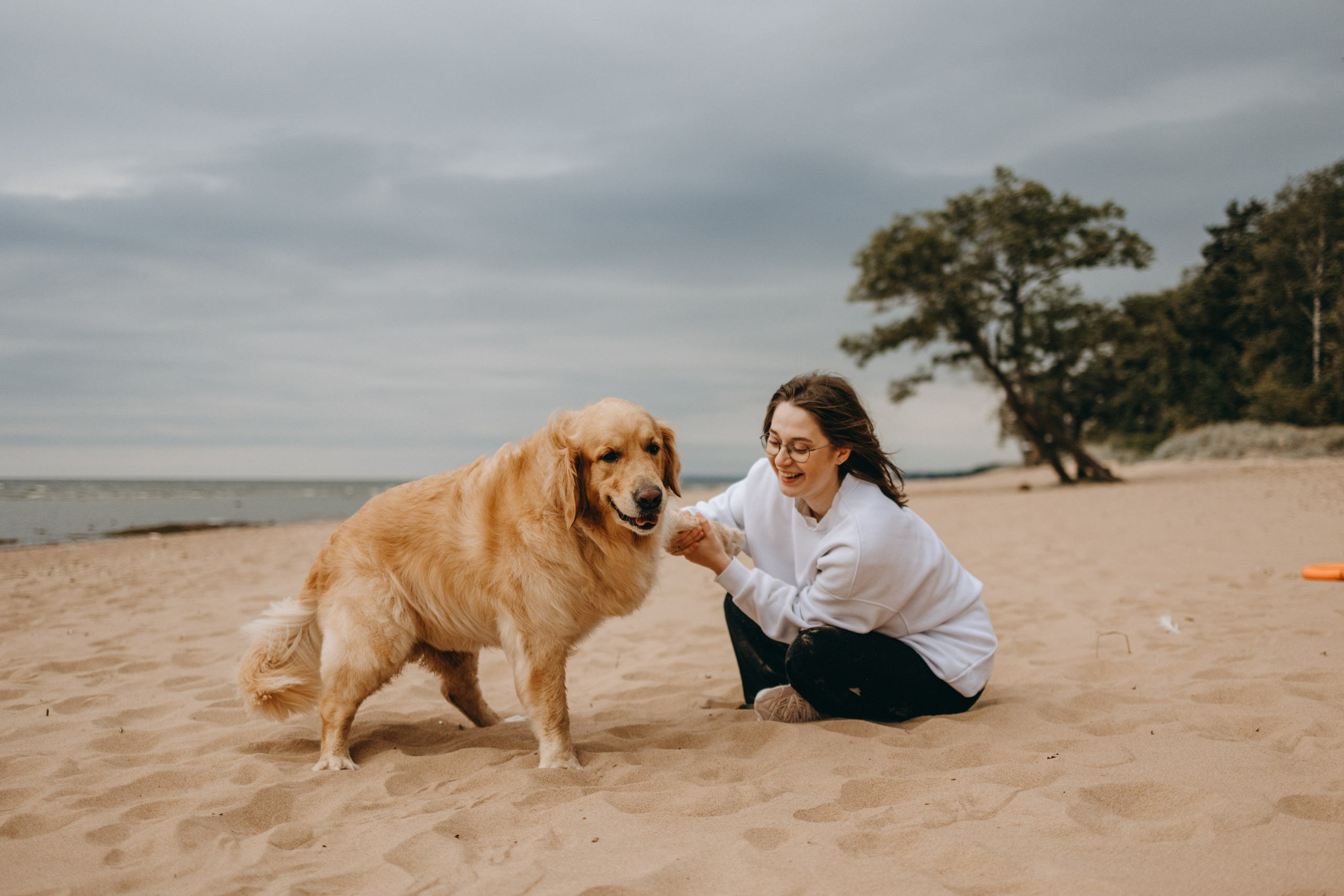 Фоси и его семьи. Фотограф — Анималист | Санкт-Петербург