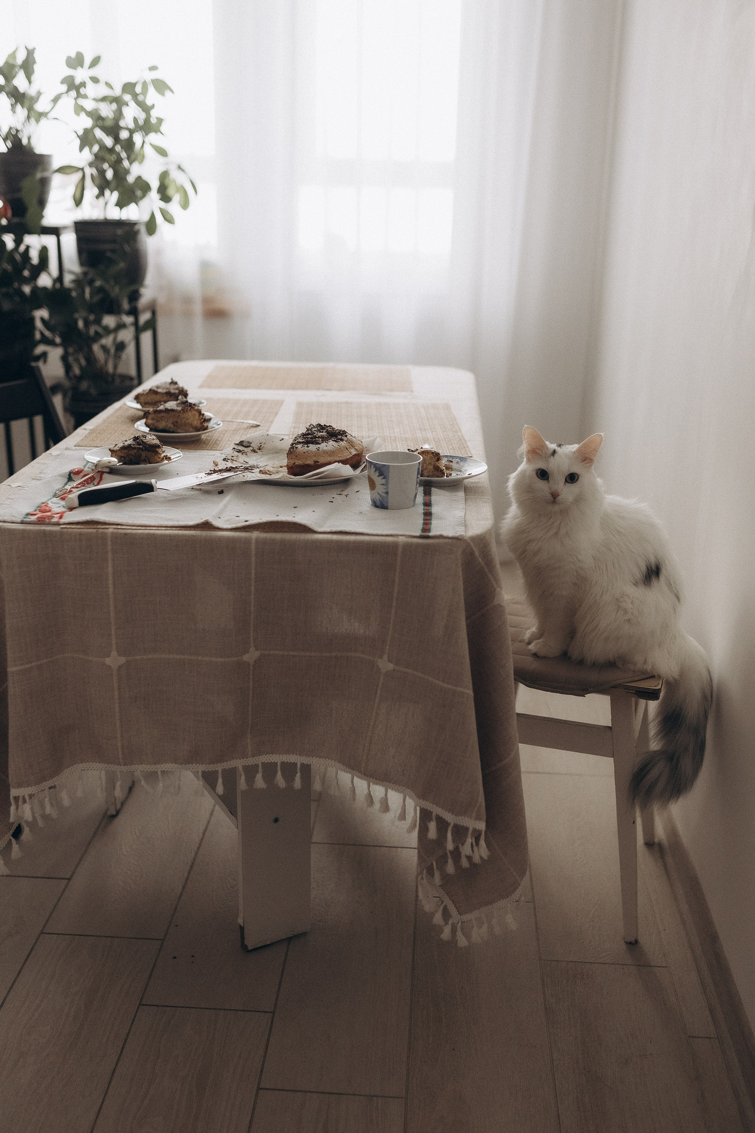 Предновогодняя суета. Фотограф из Петербурга