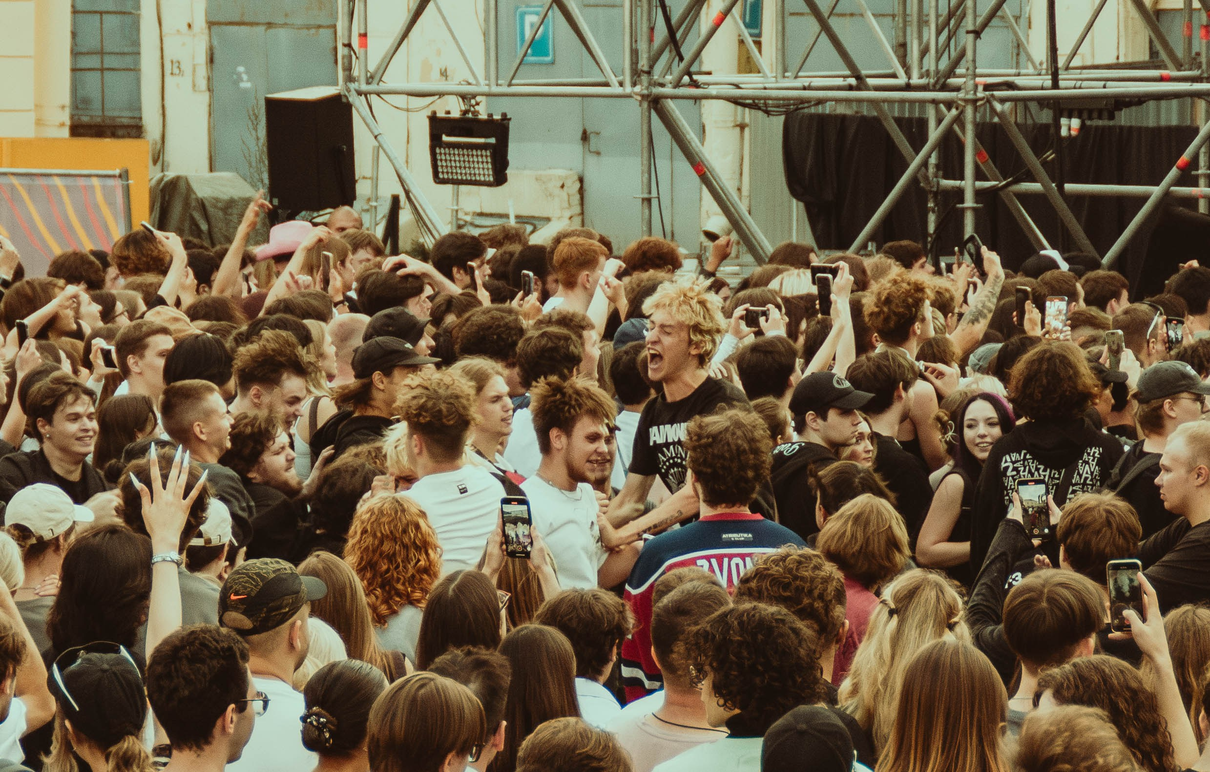 SALUKI. Фотограф montefrioree