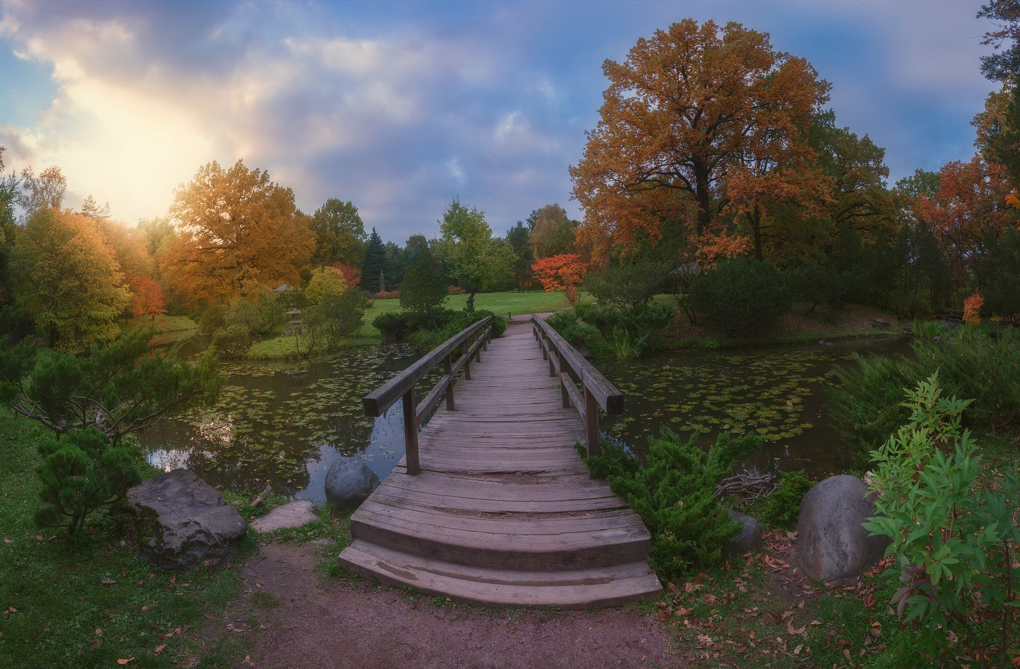 Volkovart.ru forest landscapes. Volkovart.online nature photography