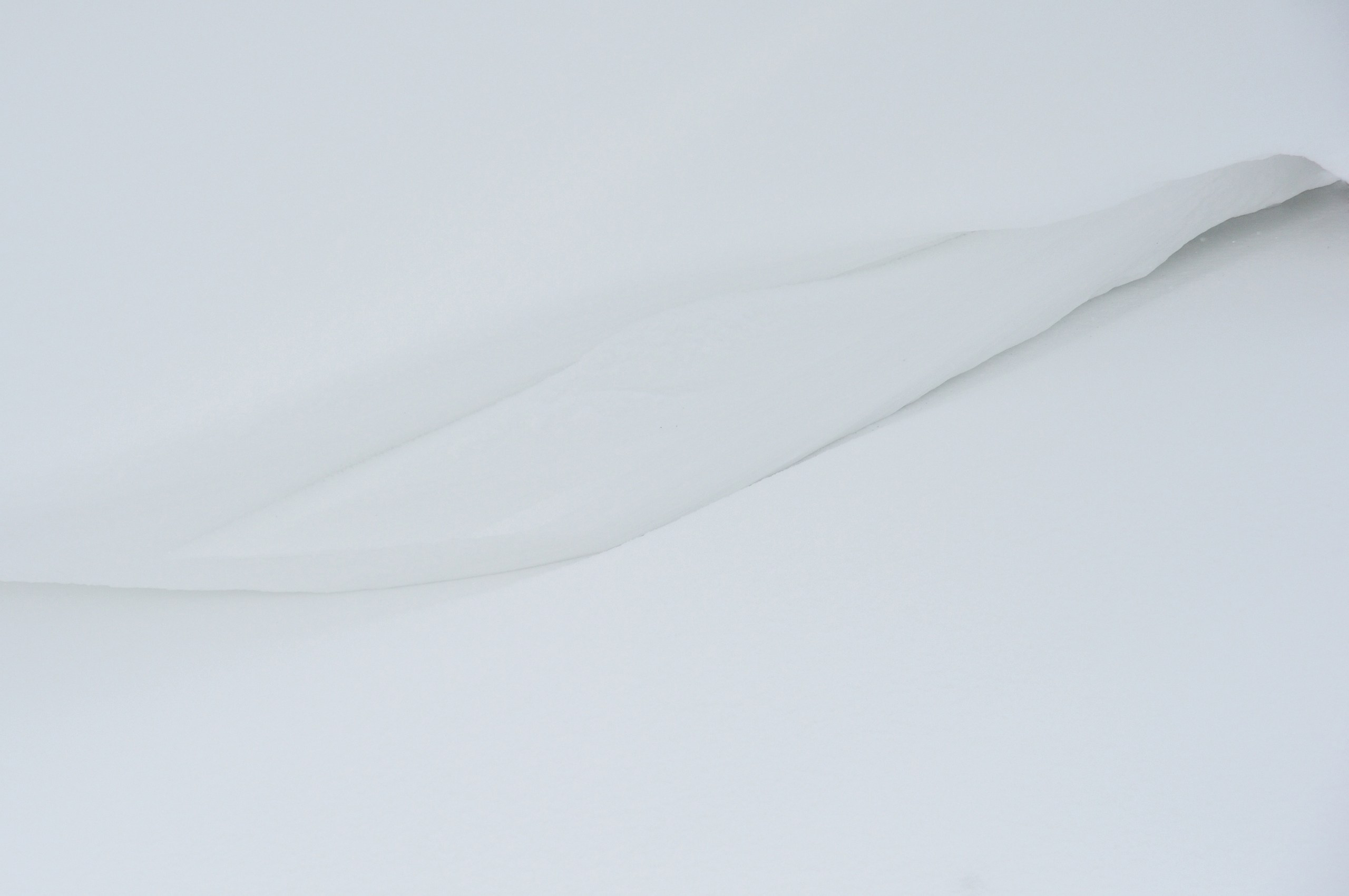 Форма снега. Катерина Михеева