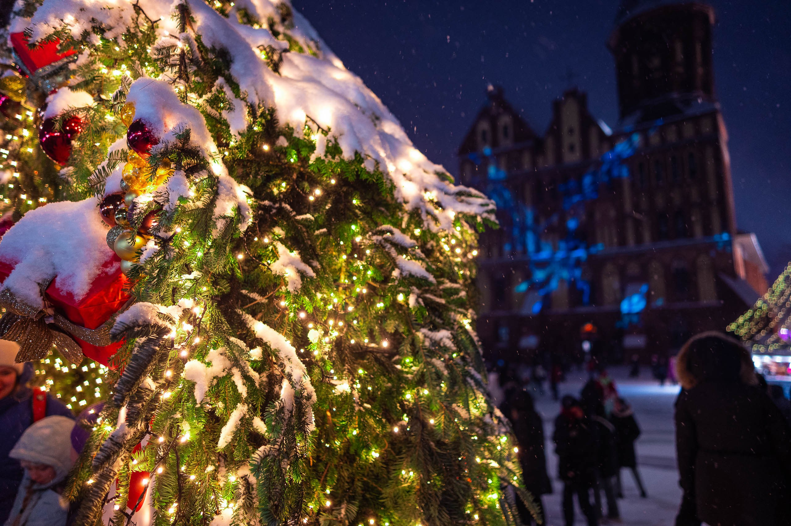 Зимняя Калининградская область. Фотосъемка и видеосъемка в Калининграде Liveemotion.pro