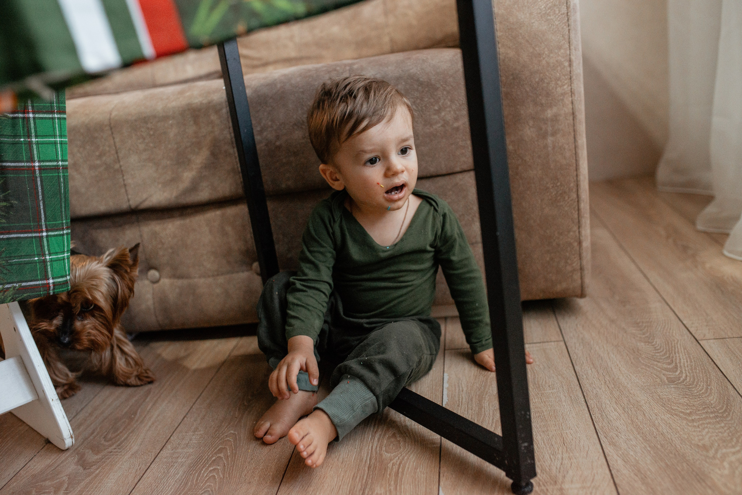 Домашняя новогодняя. Галина Чекунова Фотограф в Ростове-на-Дону