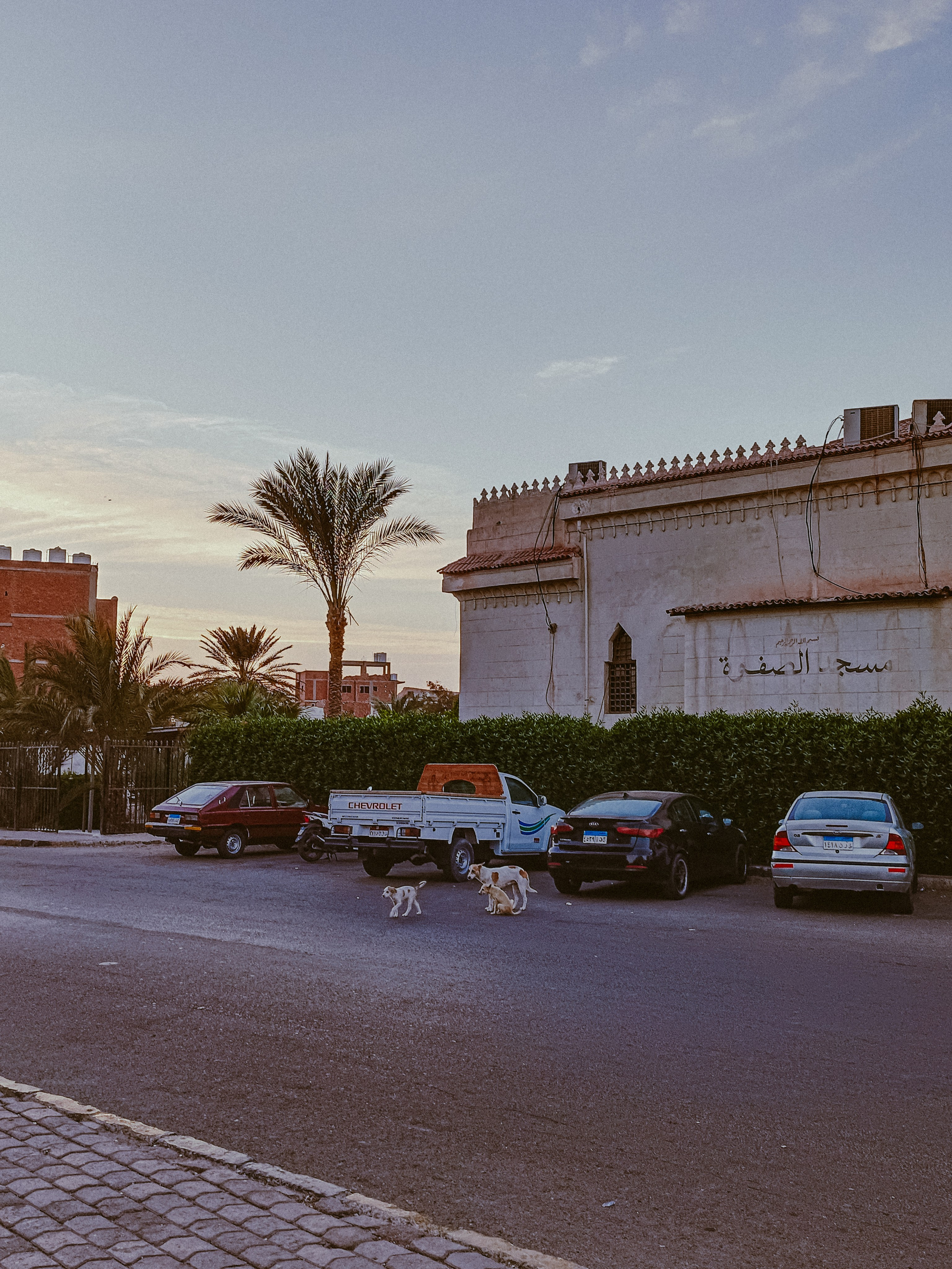 Мобильная. Jorgis — фотограф в Хургаде / обучение фотографии