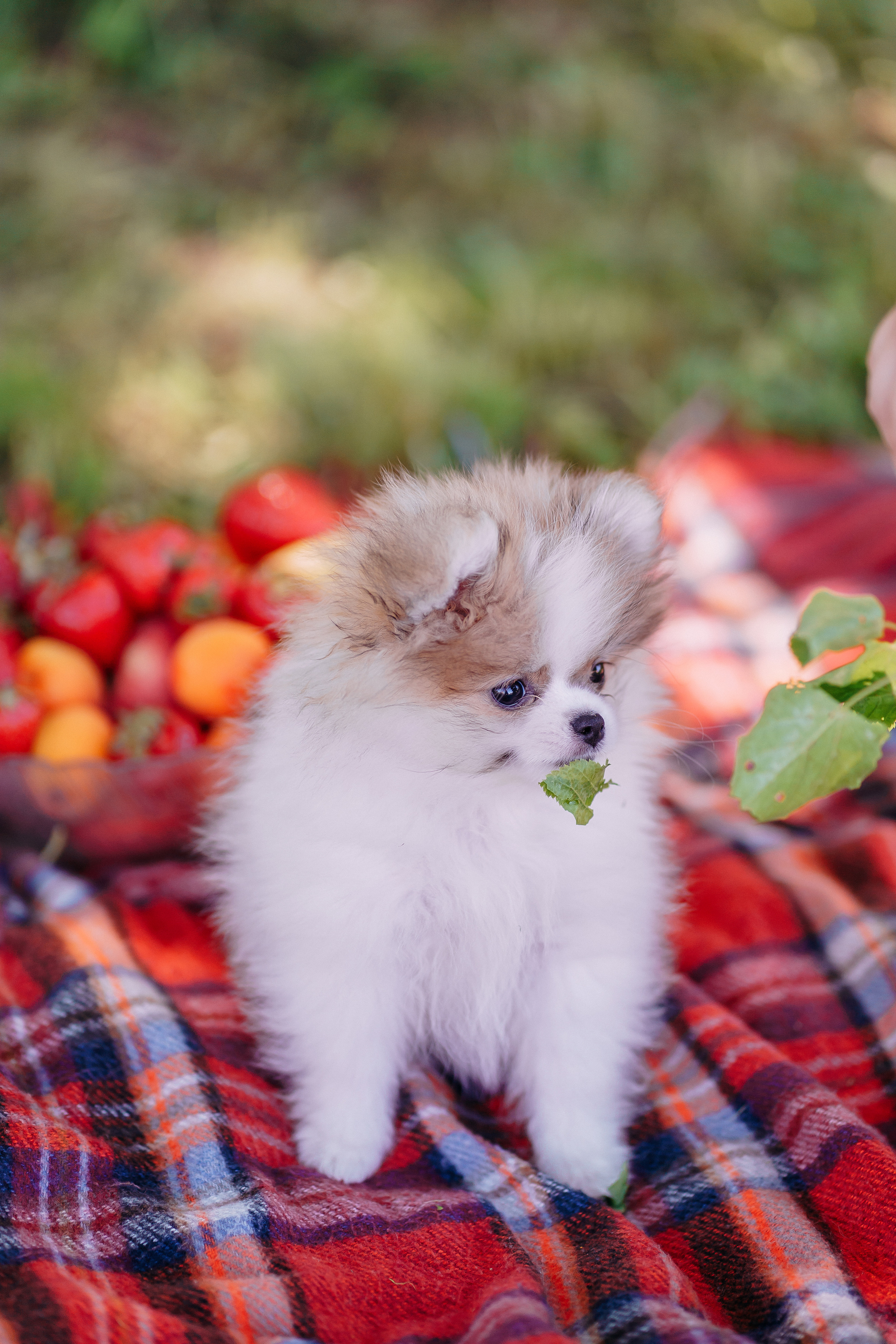 Анюта. Снимаю жизнь ❤