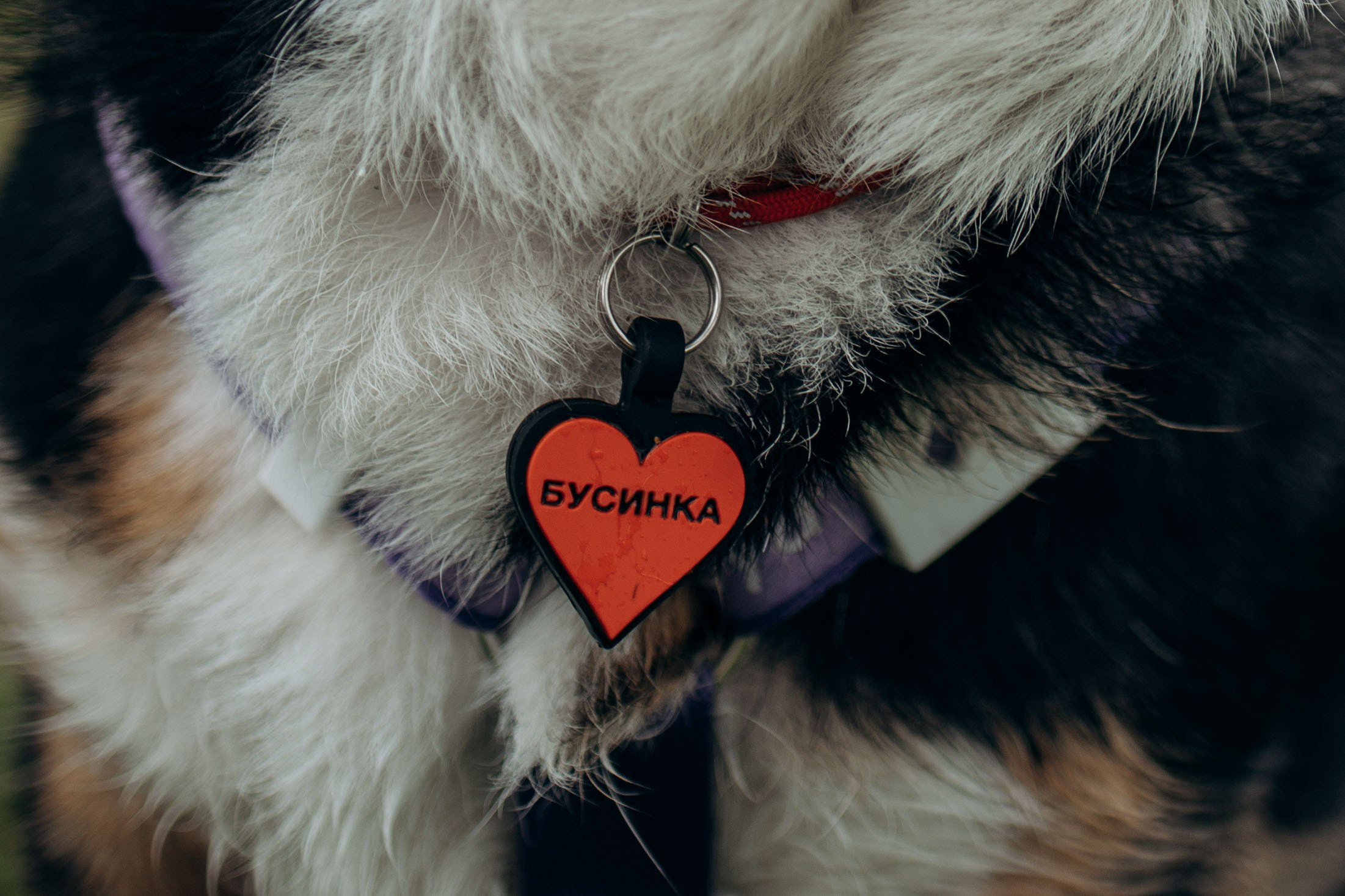 Тамара и Бусинка