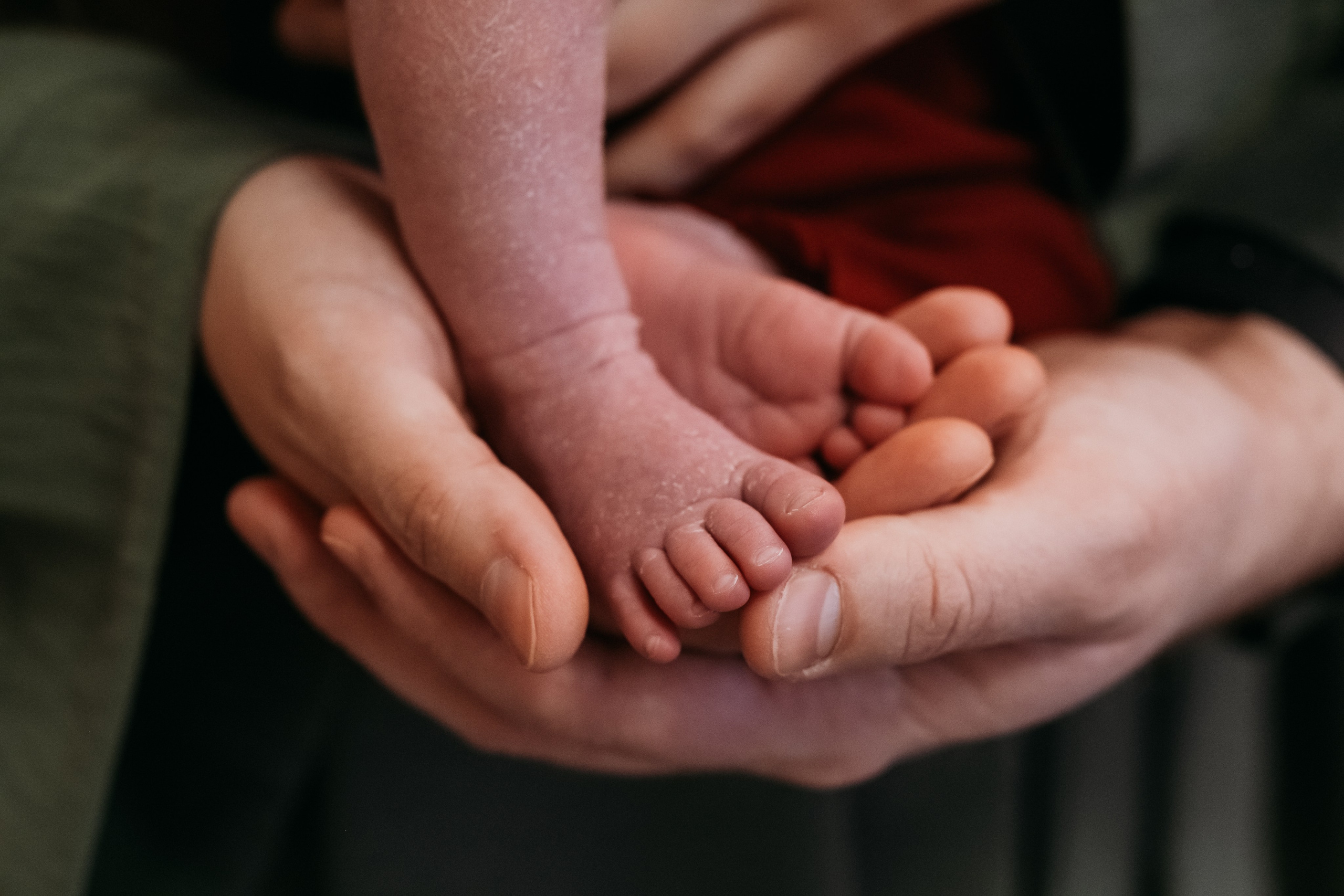 Семья Савельевых: newborn. Семейный и детский фотограф в Москве Светлана Потемкина