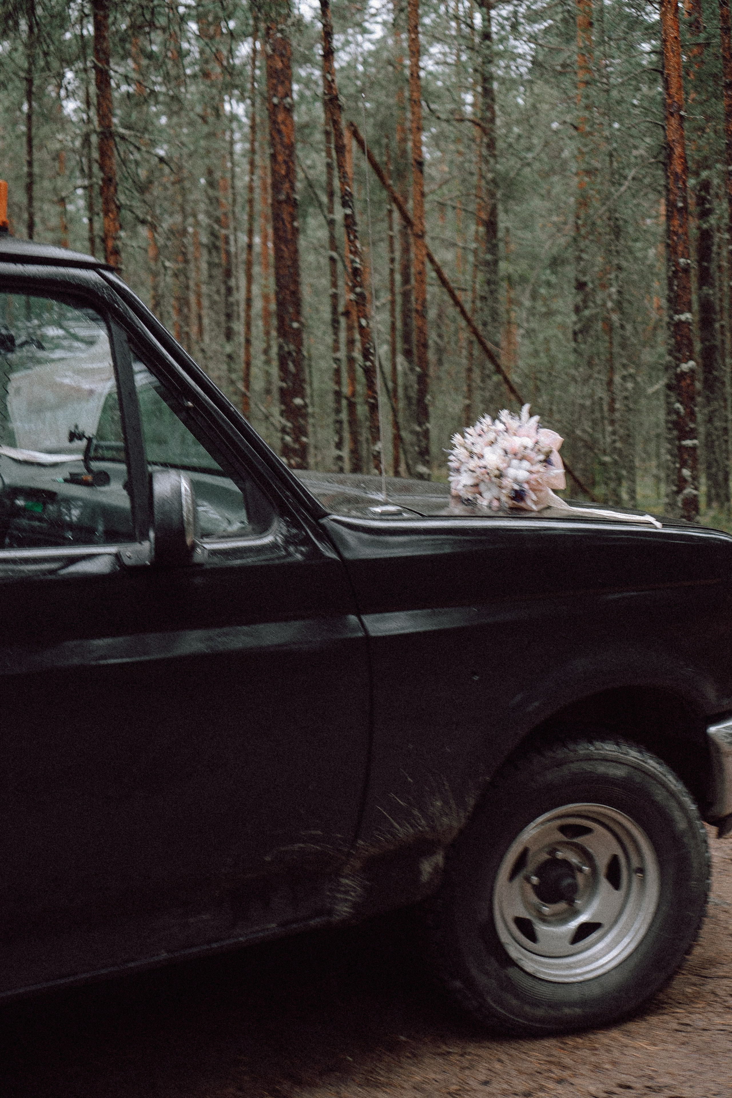 СВАДЕБНАЯ ФОТОСЕССИИЯ ПАРЫ В ГОРОДЕ ПРИОЗЕРСК В СОСНОВОМ ЛЕСУ И С ПИКАПОМ. Профессиональный фотограф, Санкт-Петербург — Виктория Богомолова