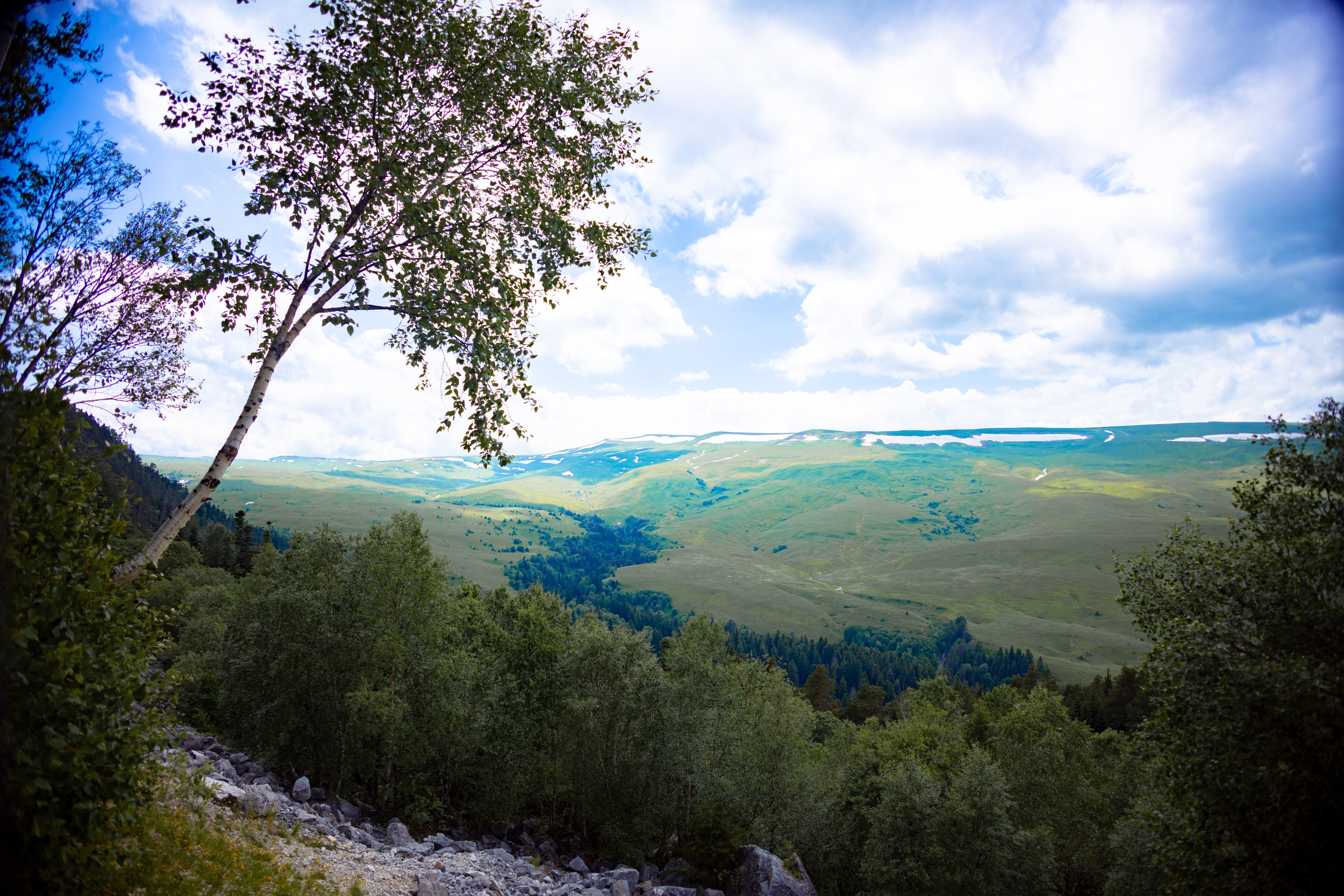 Осень. Профессиональный фотограф и видеооператор