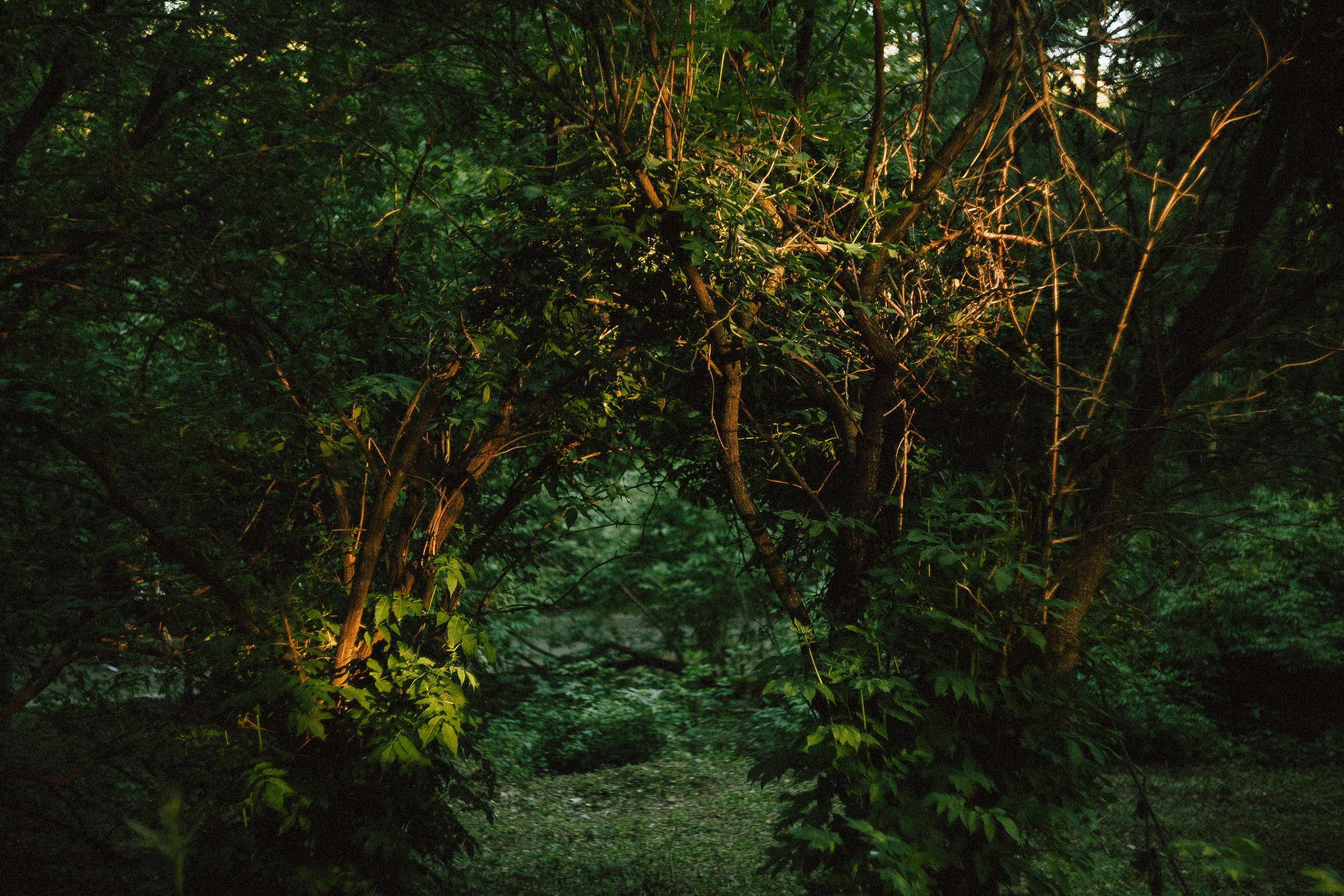 Егор. Леонид Рябов — фотограф в Нижнем Новгороде