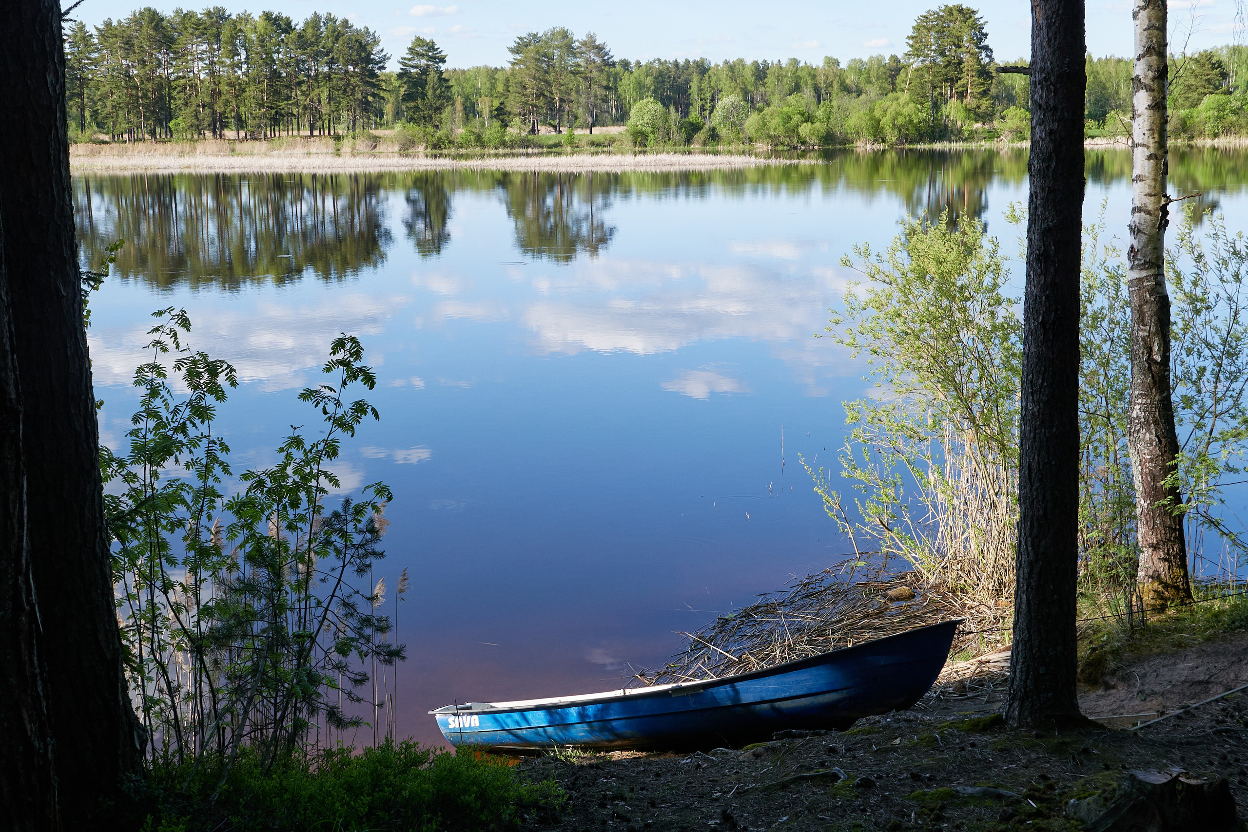 Наследие. Olitron Legacy