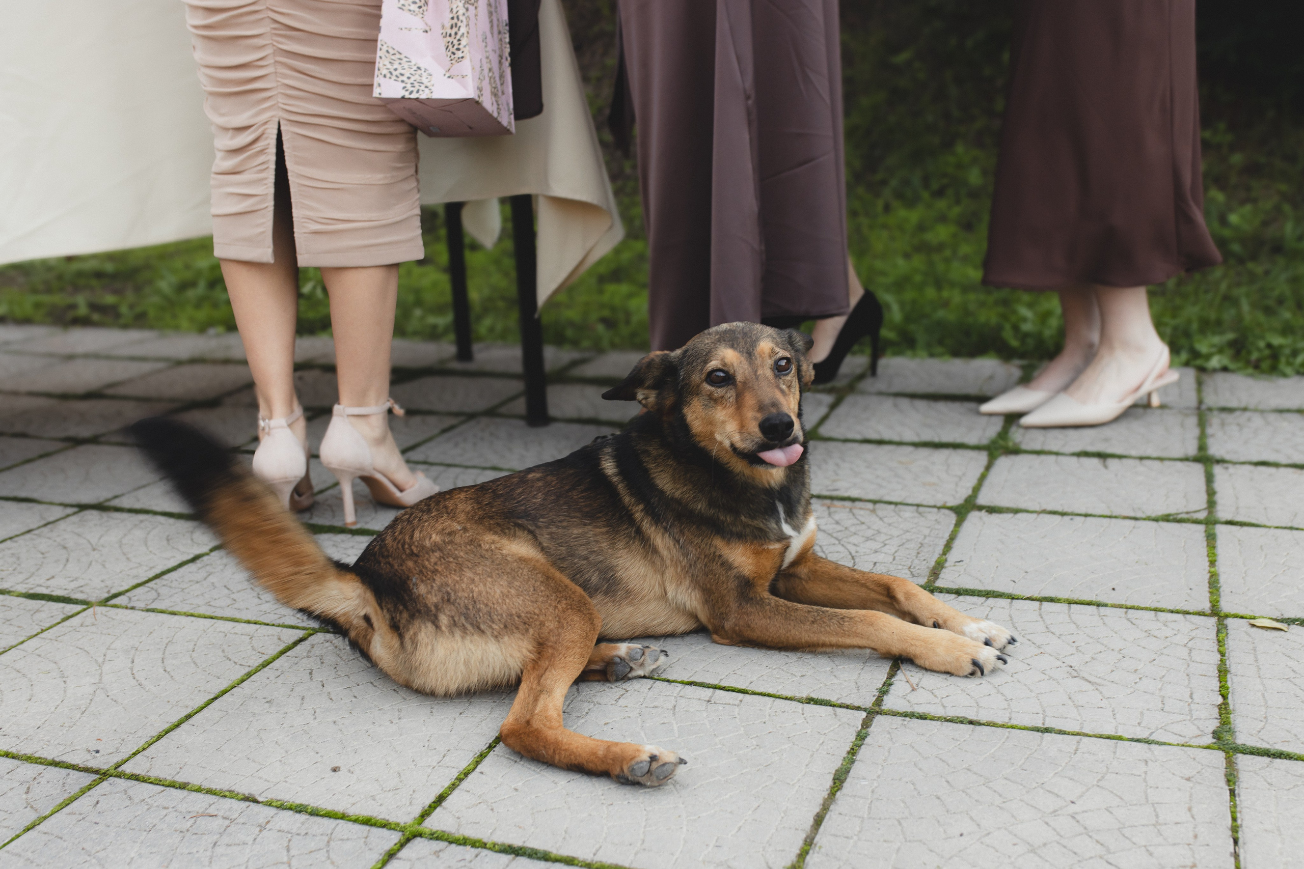 Геннадий + Елизавета. Фотограф в Севастополе и в Крыму