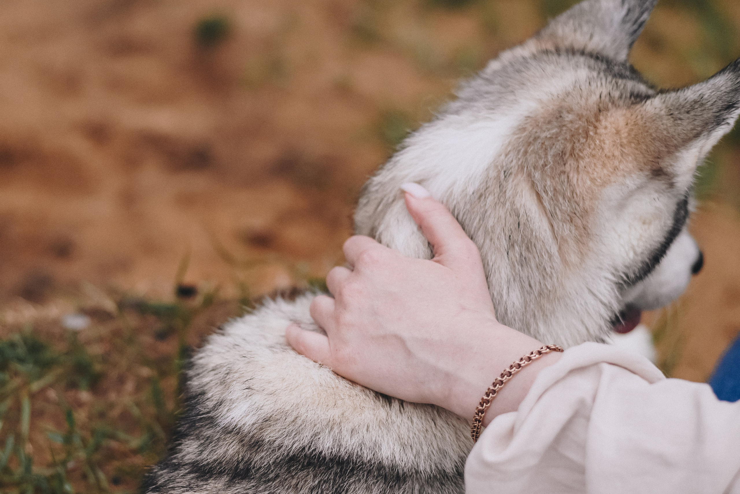 Lilya & Eva. Natalia Finch Photography — Family, Kids & Pet Photographer in Chicago, IL