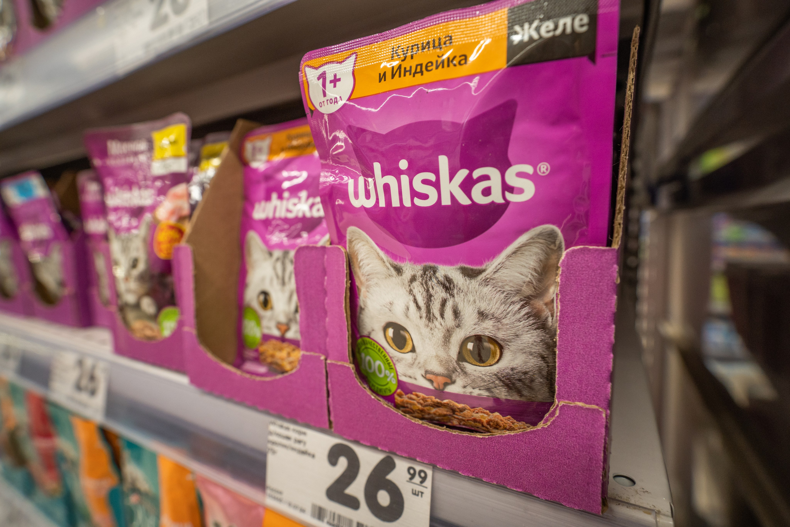 Открытие магазина «Верный». Концертный и репортажный фотограф в Санкт-Петербурге Слава Пахомов