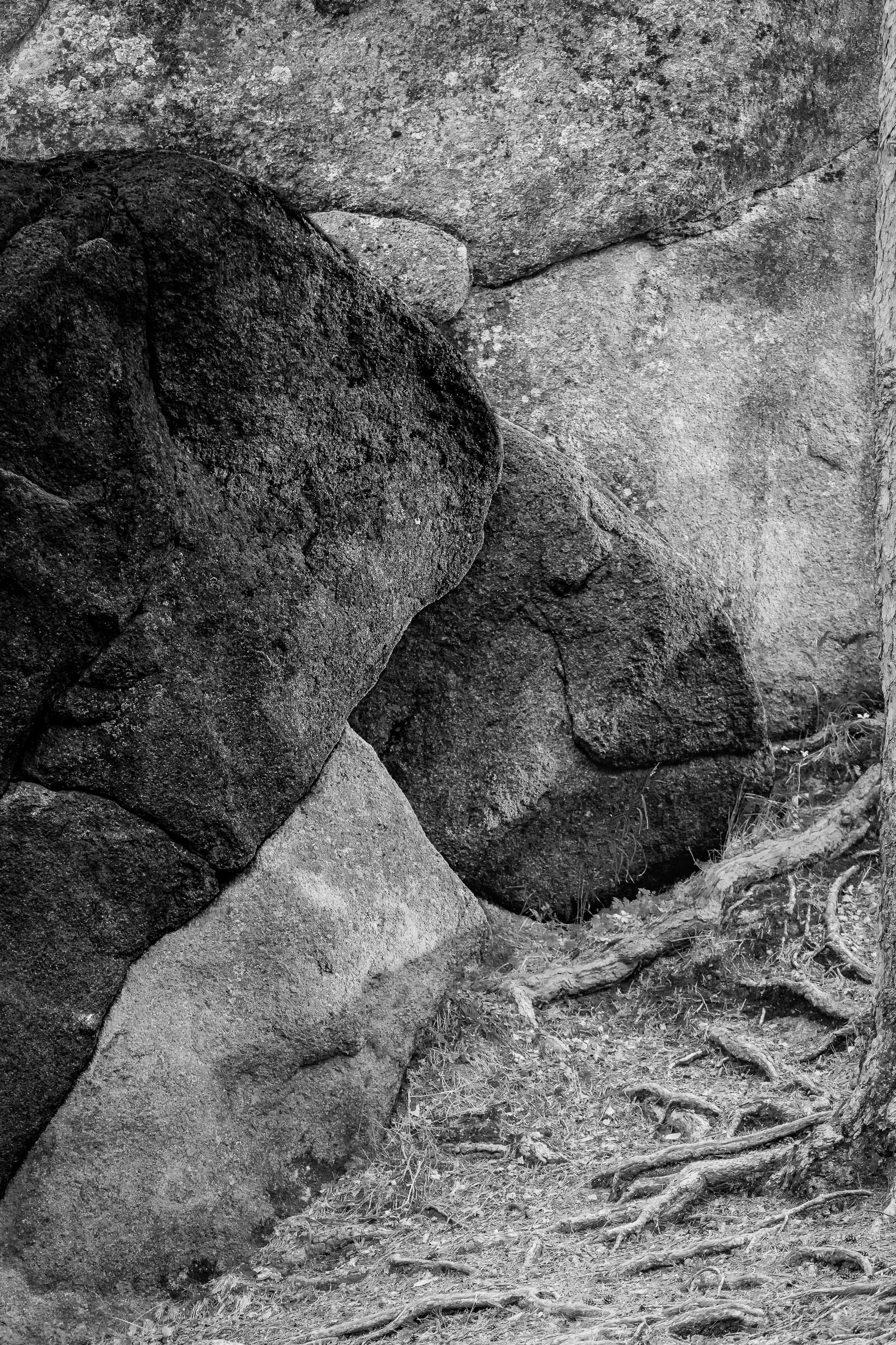 Серия «Горные обитатели». Фотограф в Москве Татьяна Макотра