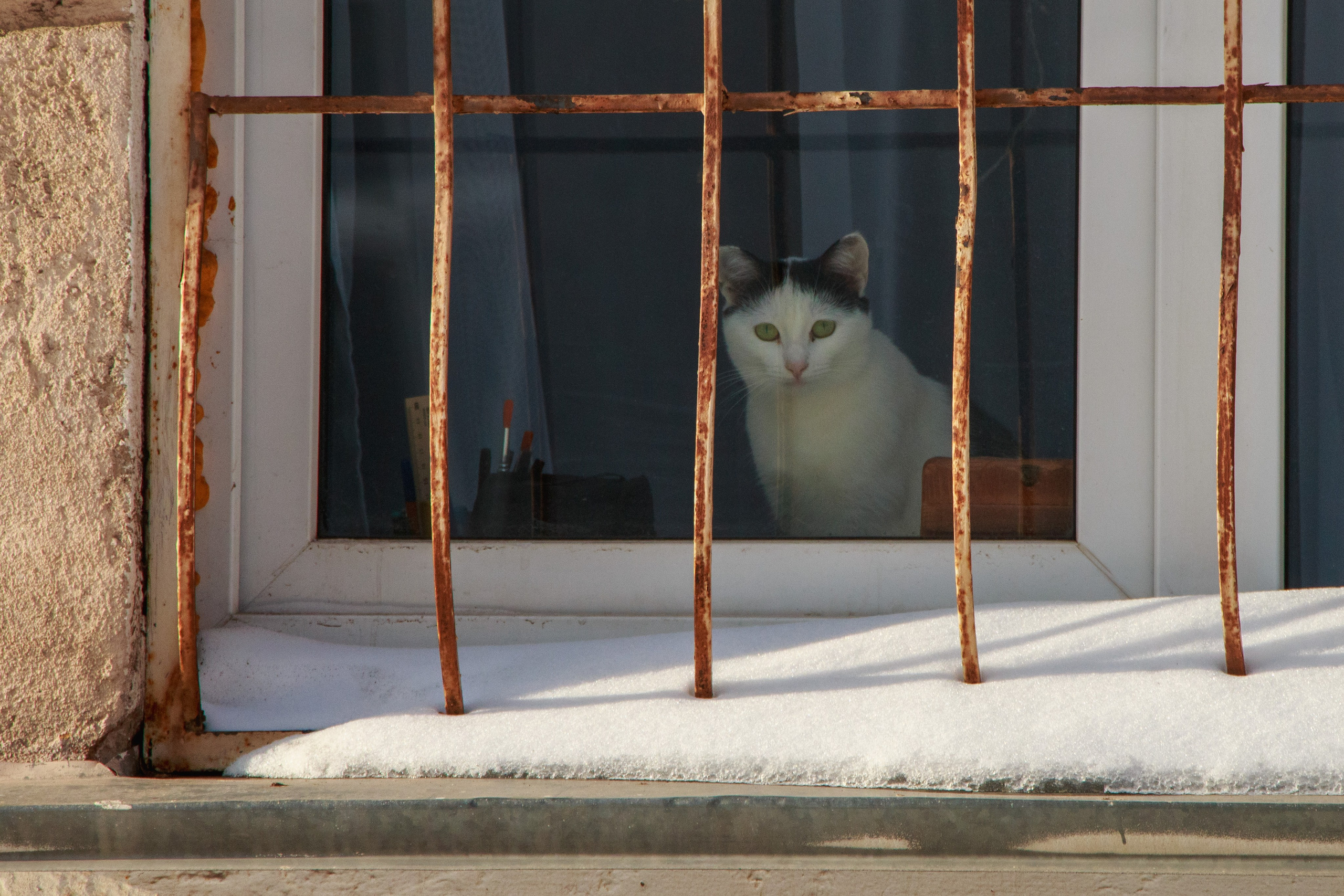 Уфа. Фотопрогулка. Олег Романов. Мастер фото по спорту