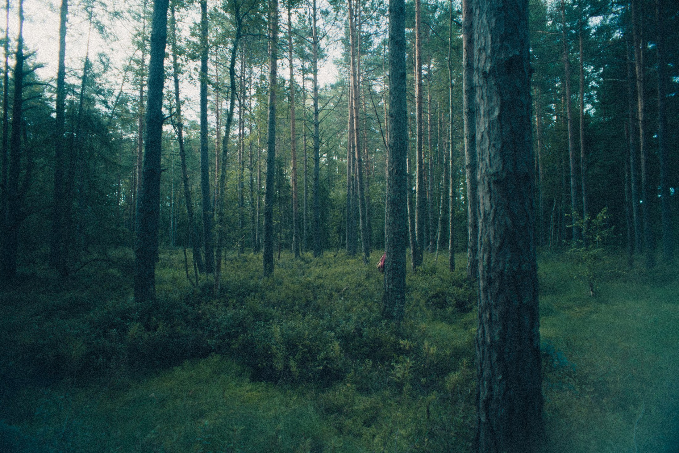 Наощупь. Алиса Аницкая