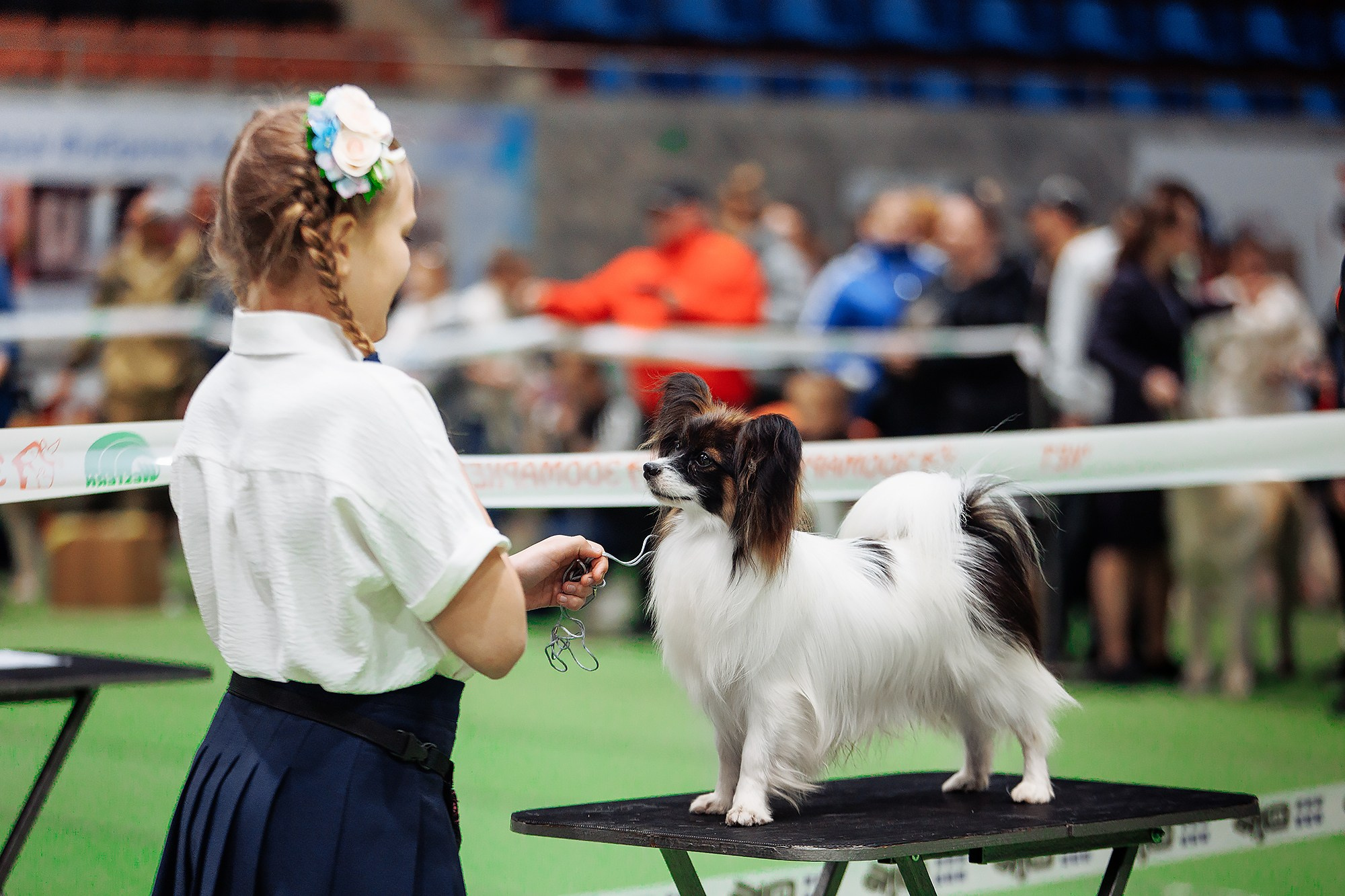 Магний 23. О нас