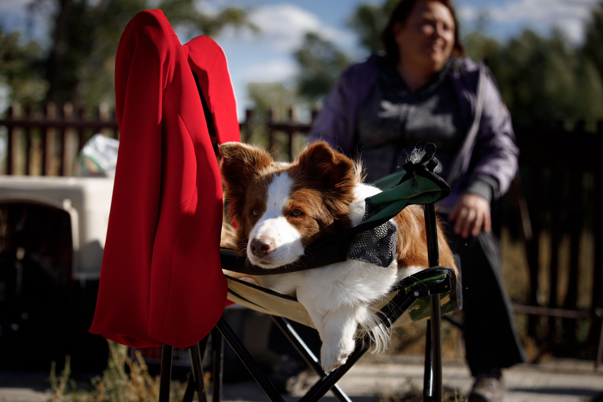 Водяные в Новотроицке. О нас