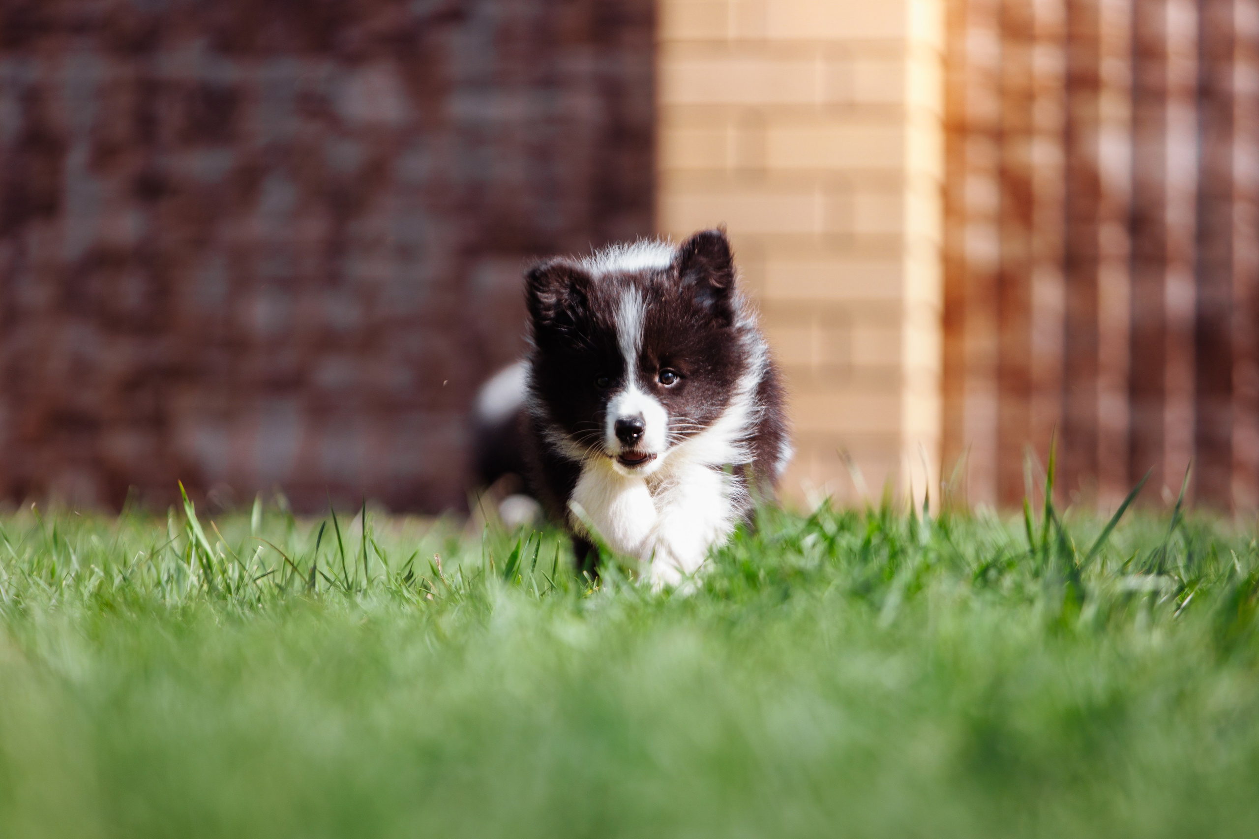 МММ — маленькое мягкое милое. О нас