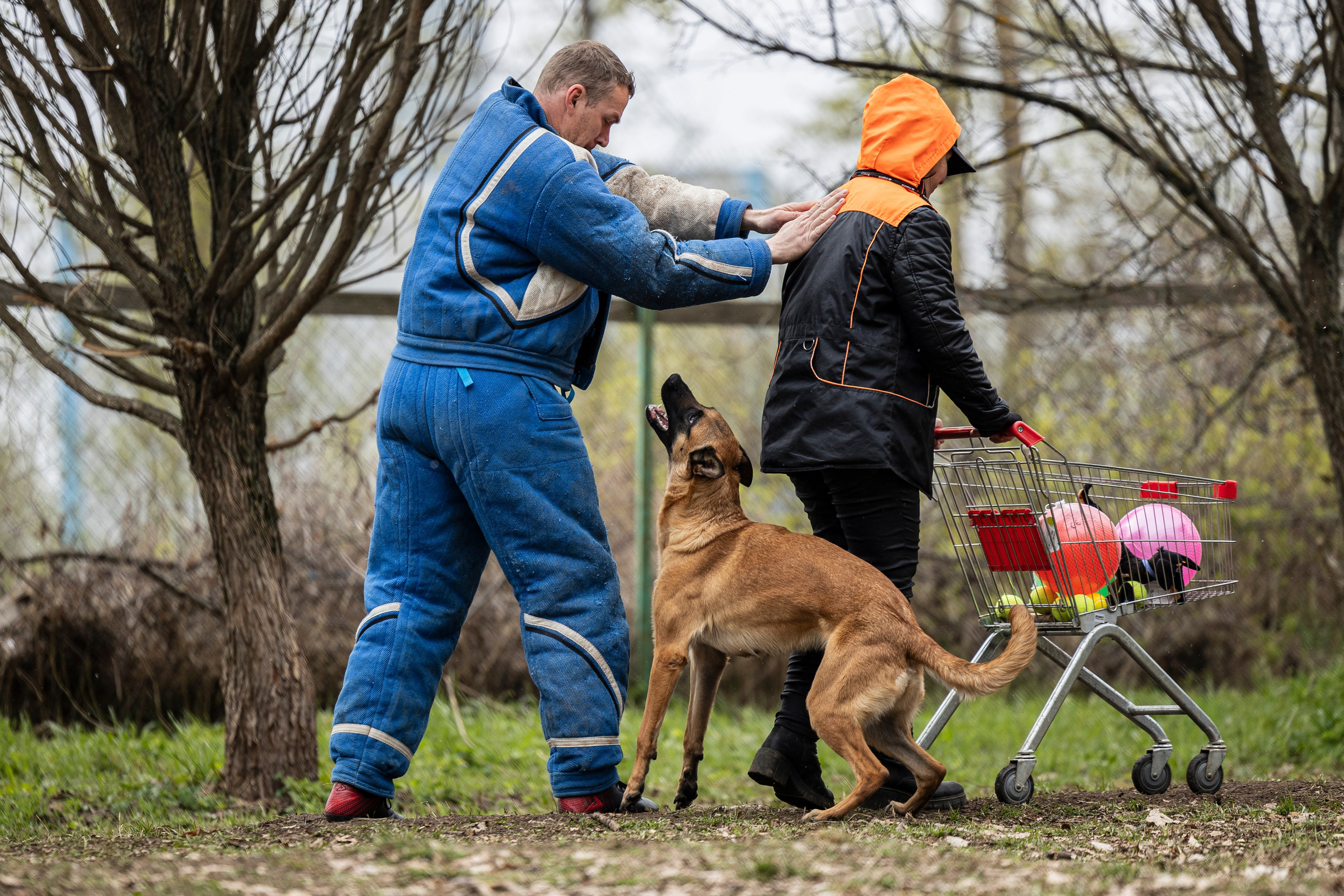 Квалификационные состязания по мондьорингу г. Вологда 11.05.24. Фотограф-анималист Анна Маринич