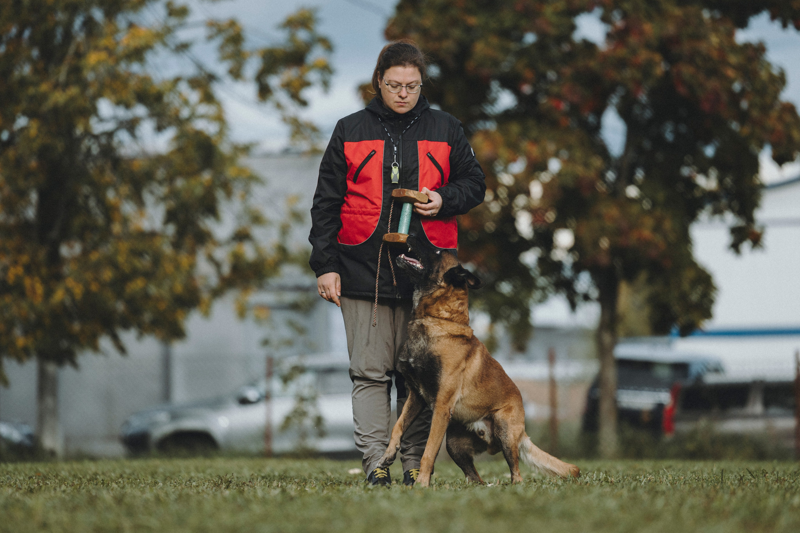 Испытания по мондьорингу г. Пушкин 29.09.2024. Фотограф-анималист Анна Маринич