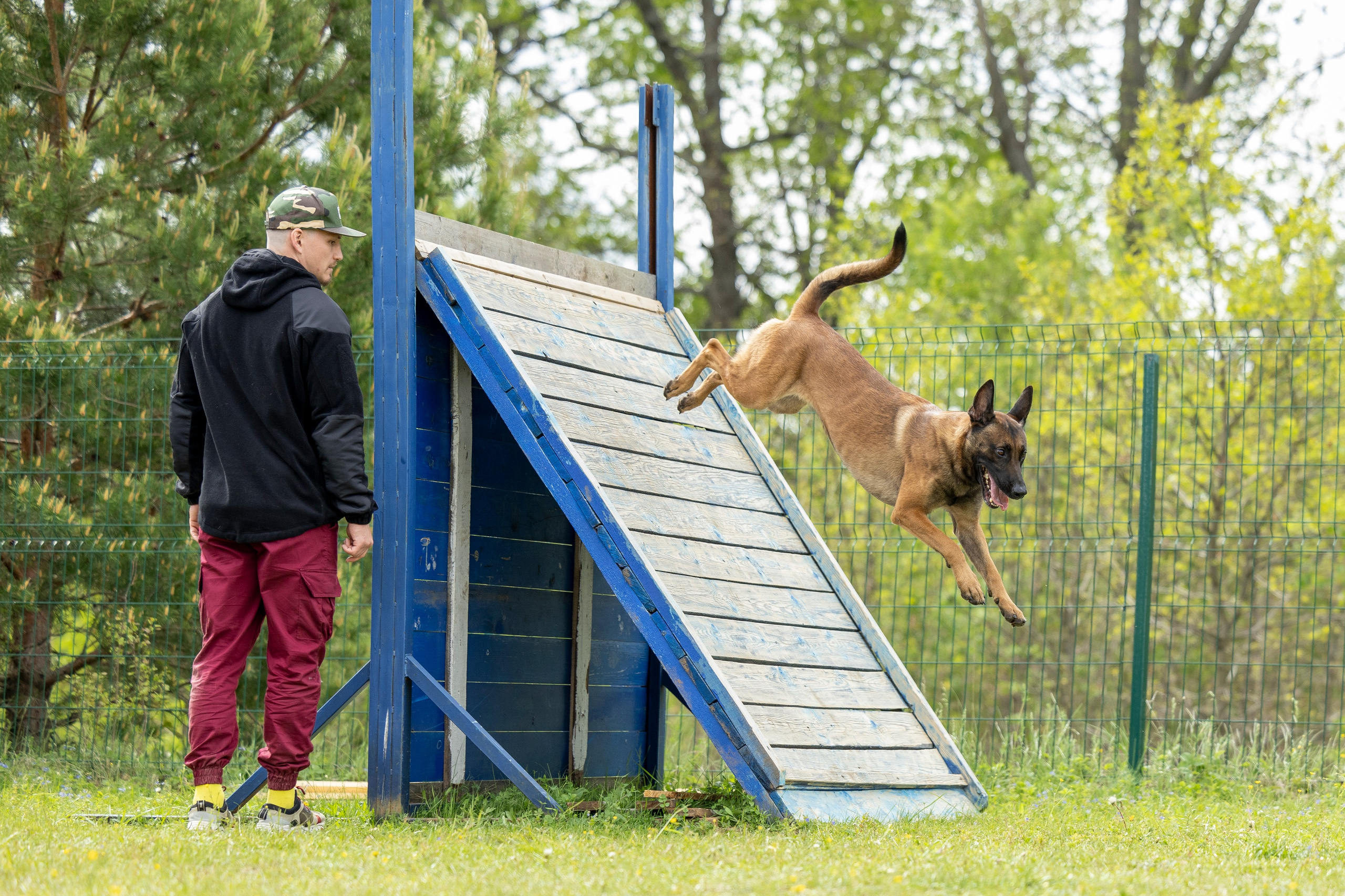 Испытания по мондьорингу в Нижнем Новгороде. Фотограф-анималист Анна Маринич