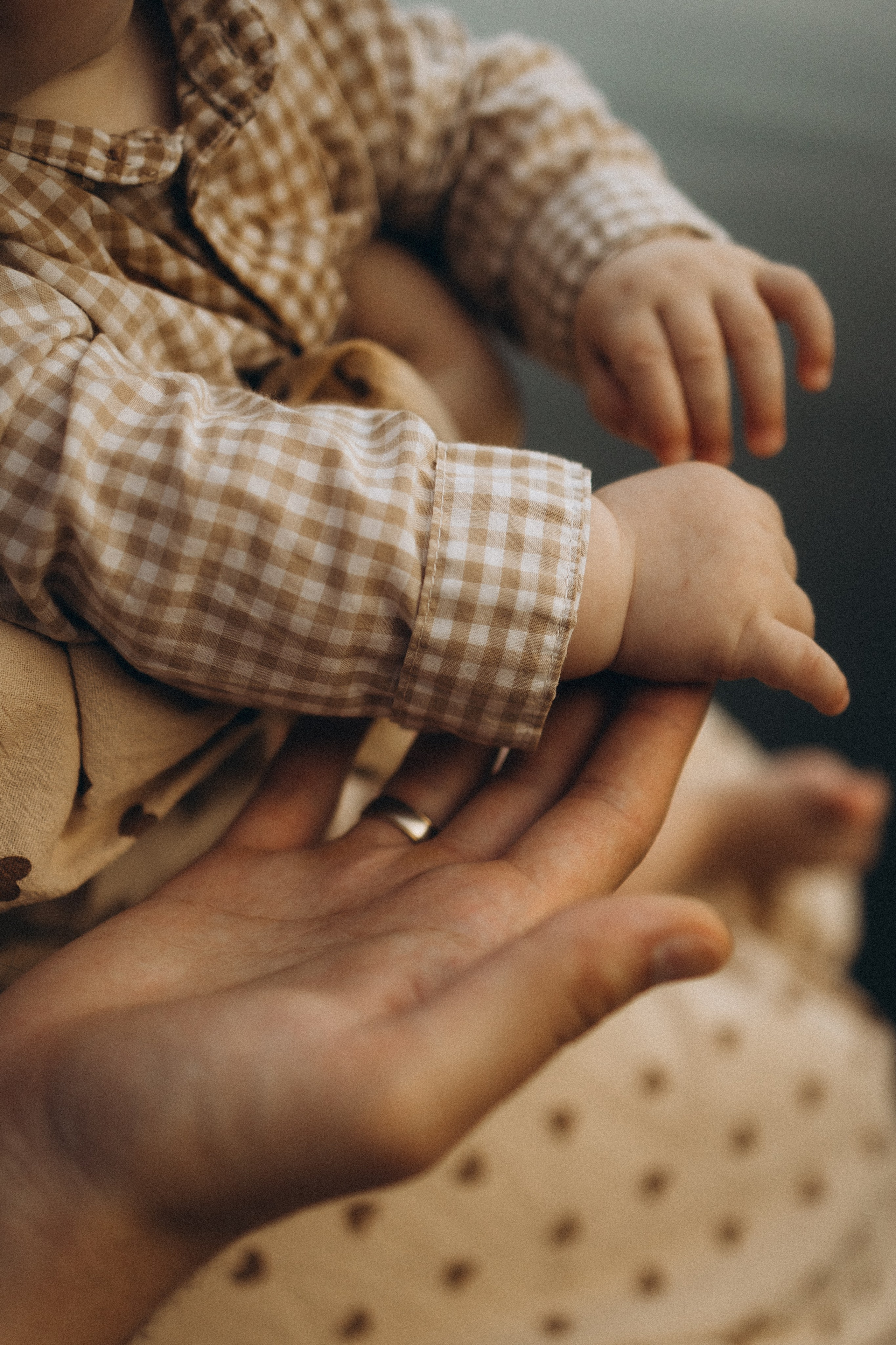 Алина, Игорь и Мирон. Семейный фотограф в Москве Бунина Маргарита